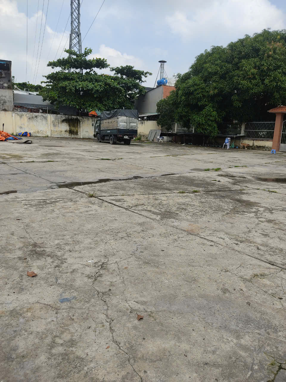 z5873118958986_56fd603ecb221dd748c83293645bcd63