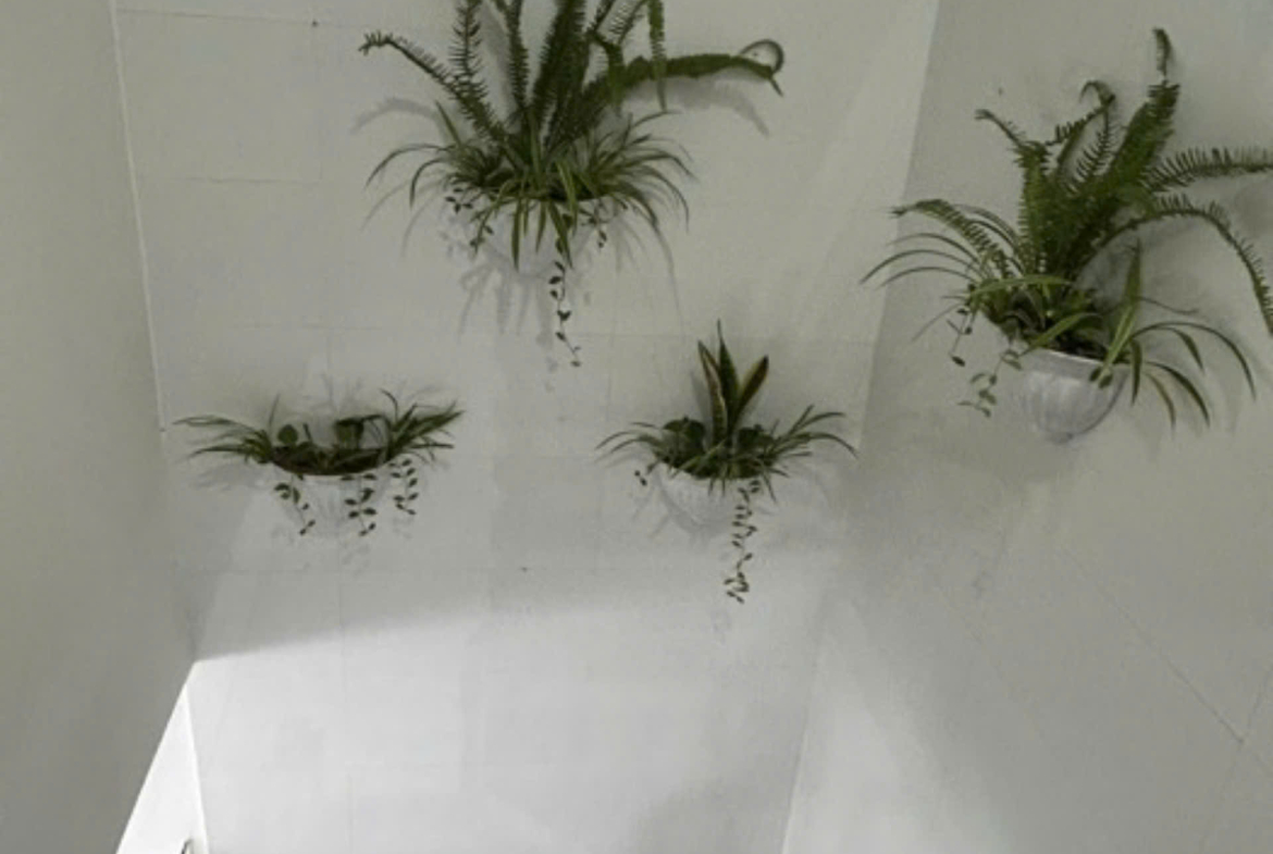 z5879854667465_b60b5dd9b50712944fd1c8d4dbf7daf2