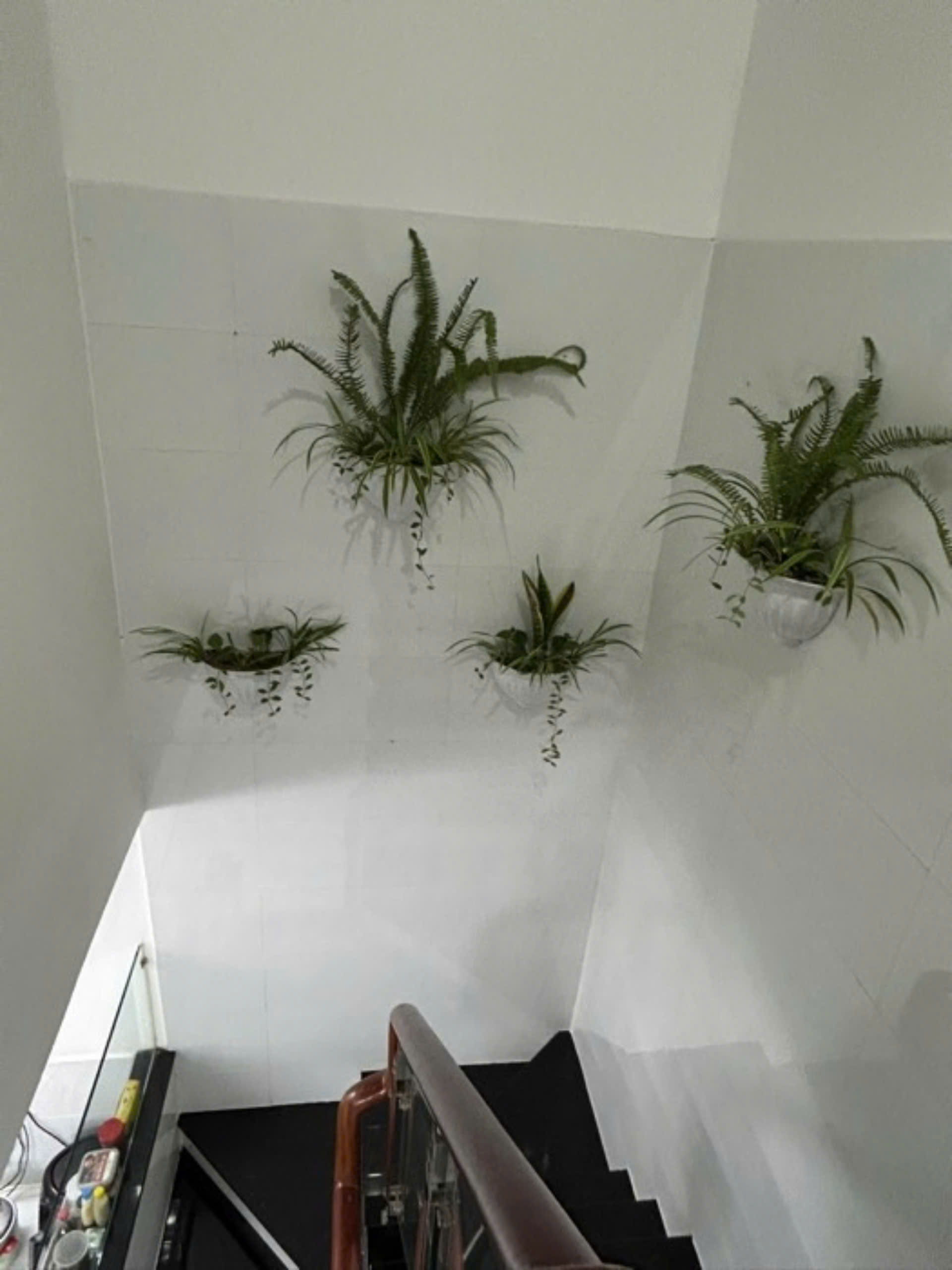 z5879854667465_b60b5dd9b50712944fd1c8d4dbf7daf2