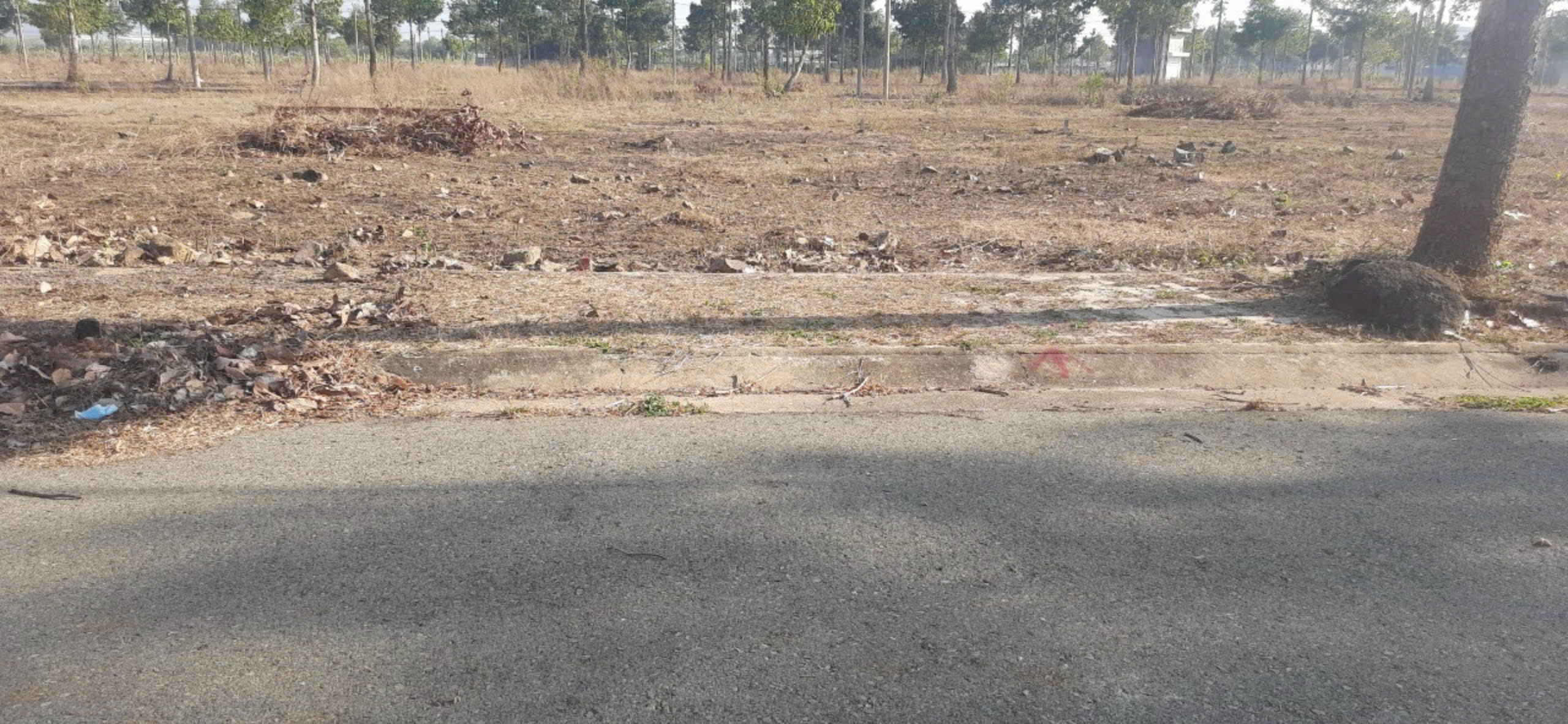 z5881300503664_8e6b9146a02a0f2001c352847bd6e032