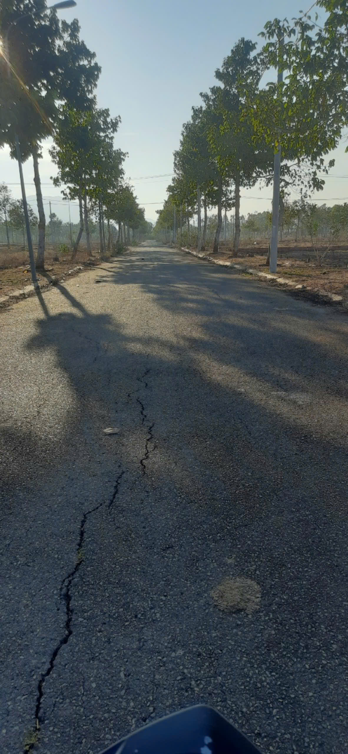 z5881300543653_271bc8c137fd85220d32d1d4ea41165c