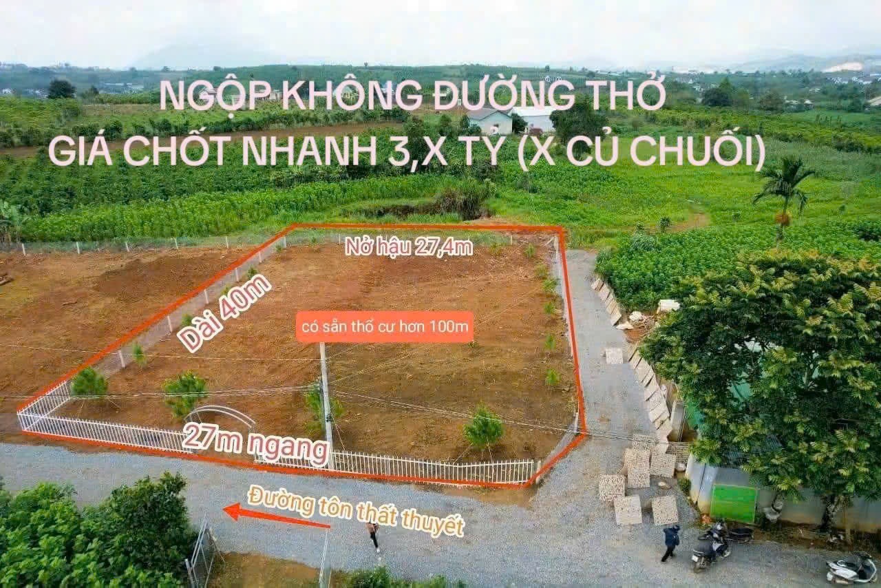 z5881305524683_792af4474c77c32137c10a7ffc2e7c09