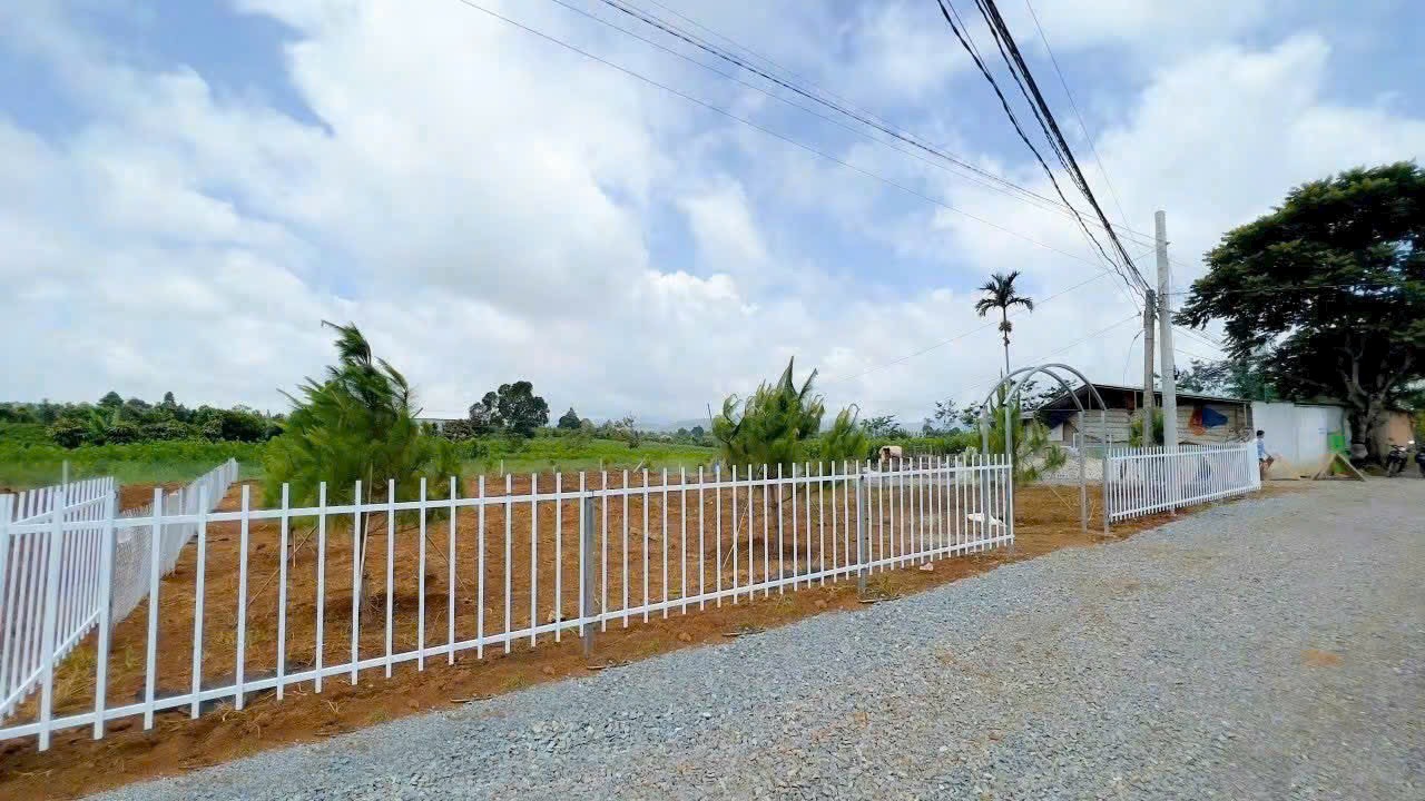 z5881305533805_664631ea09eef0b7521760ec69c71906