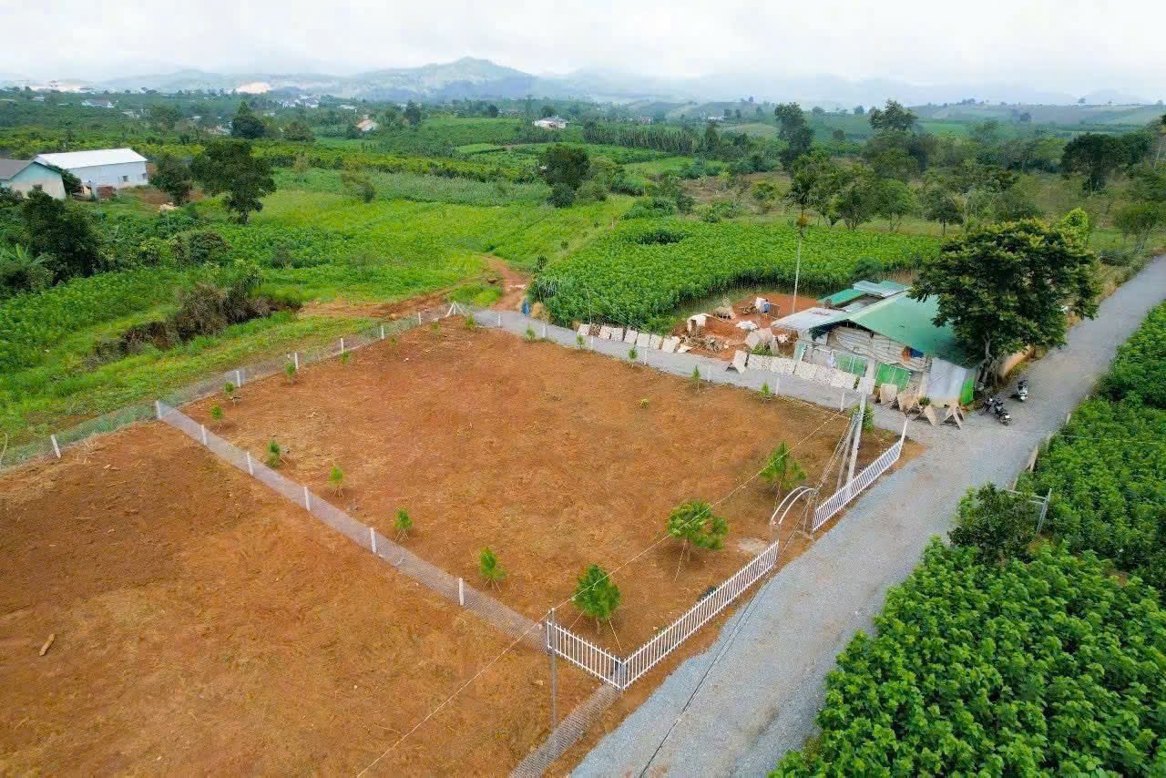 z5881305539120_3222e506452e8e5151a41c1ddfaace88