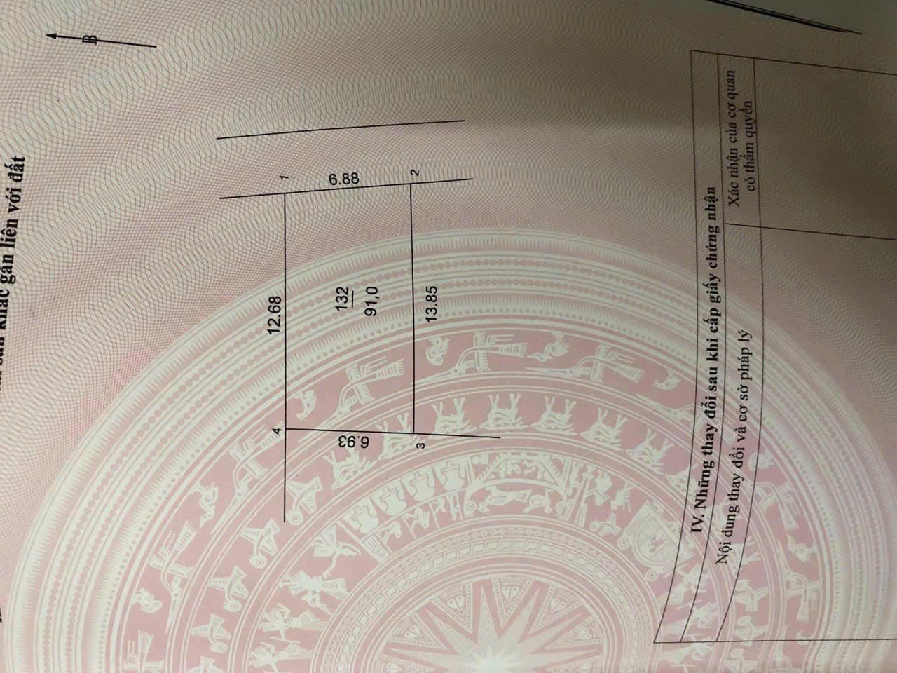 462148045_1248564596157237_2211122131404564072_n