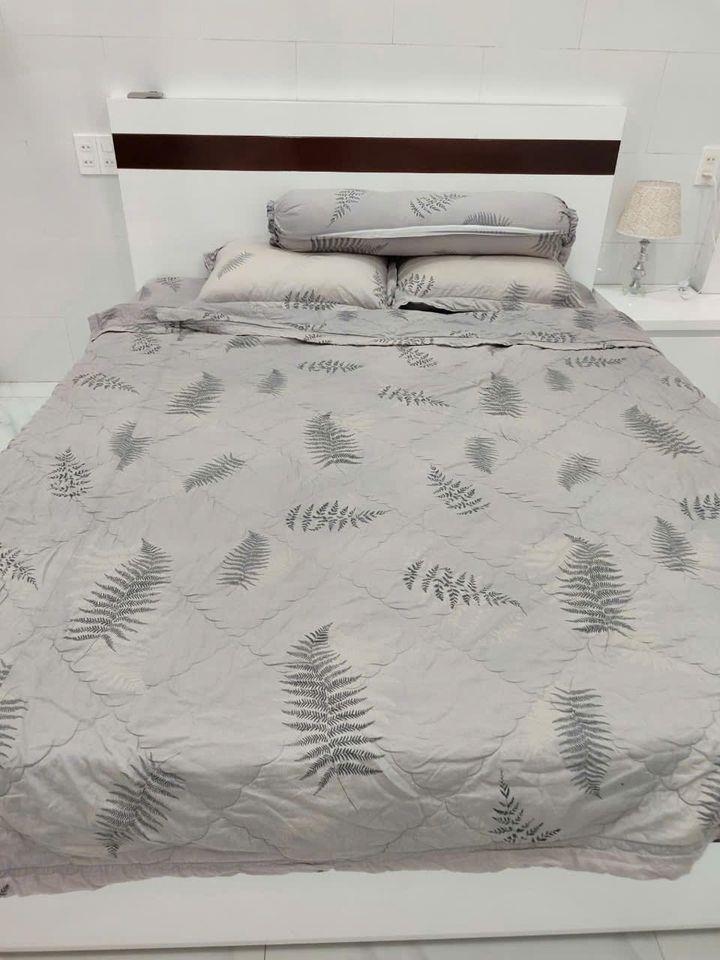 466164112_122181556640041613_7702586473765611173_n