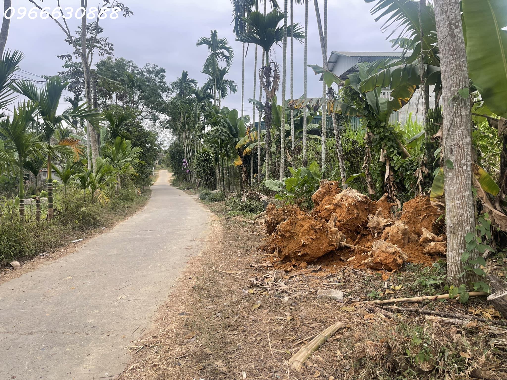 468481967_9706171476066538_1236517721418564386_n