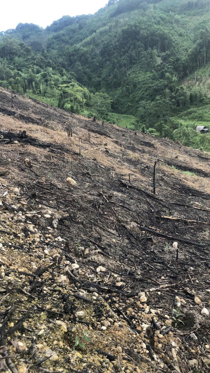 eb9275245f20e47ebd31