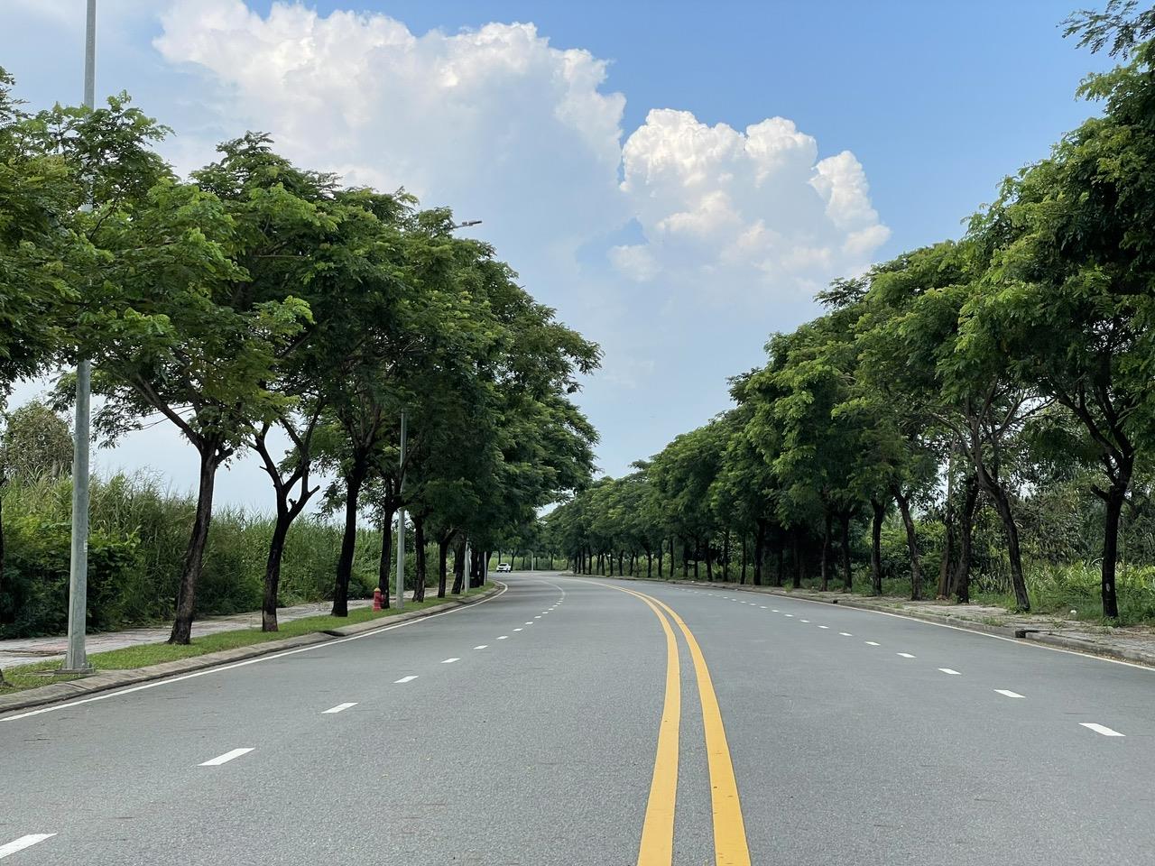 z5761337280227_2e24ef3517ba43ff2073bc405cf7e989.jpg_bak_638664158884161391