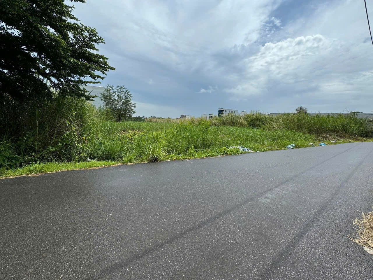 z5958107486053_e607efcfc2f5938ac7f908cd9984dbf9