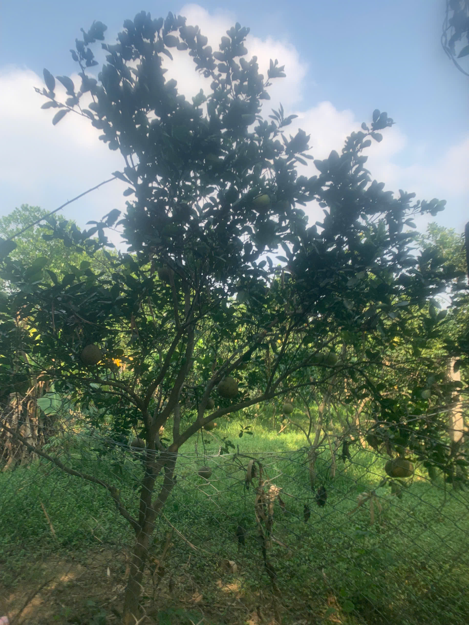 z6028118206396_b353bcca47dbf73852cd20432ad7600e