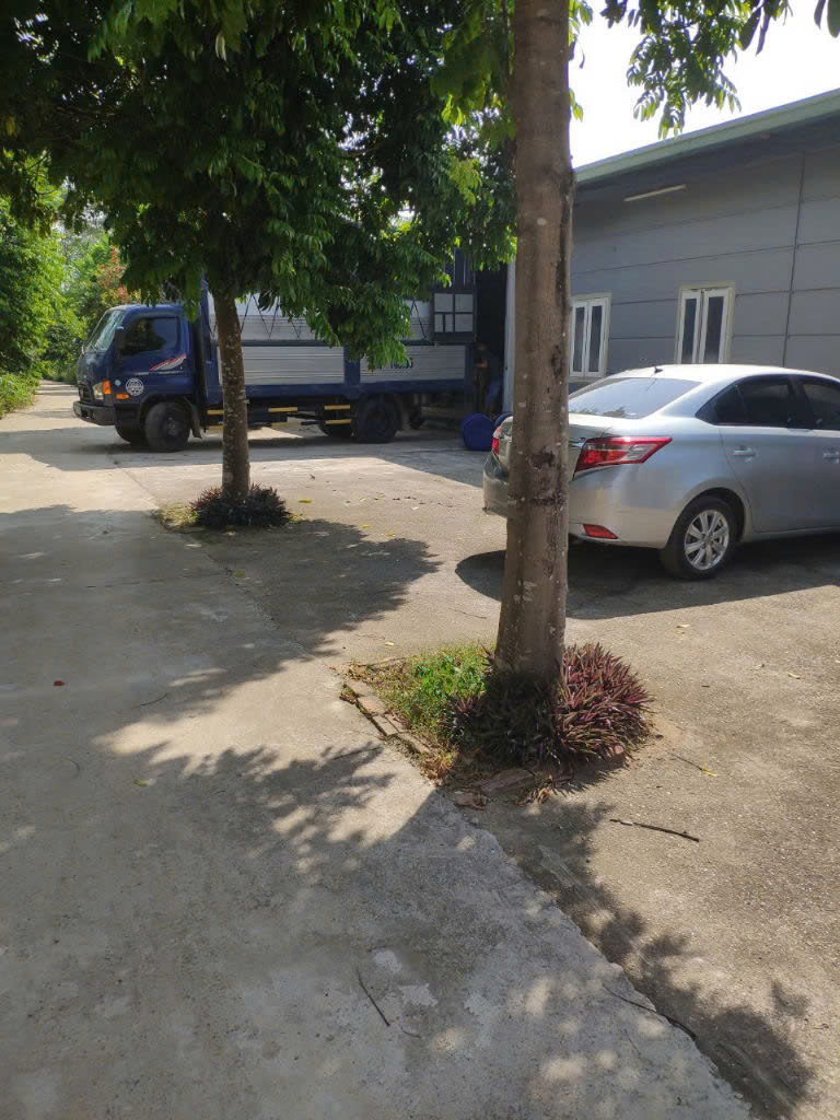 z6031586225593_4367a24d61ae9535a4862da5fea6ef9a