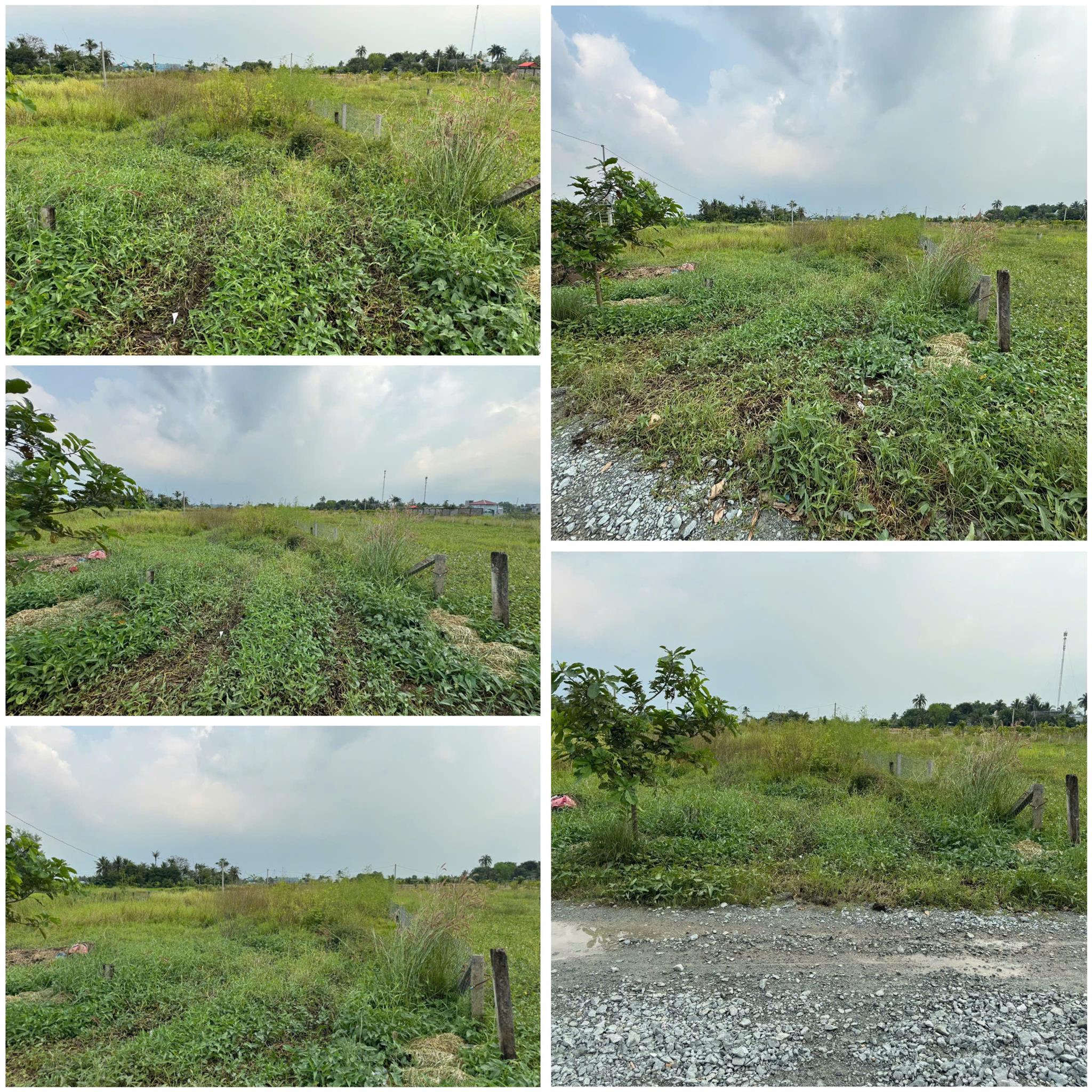 z6048837107200_66c5a22c7e0825c2ec26ea930bd14b25