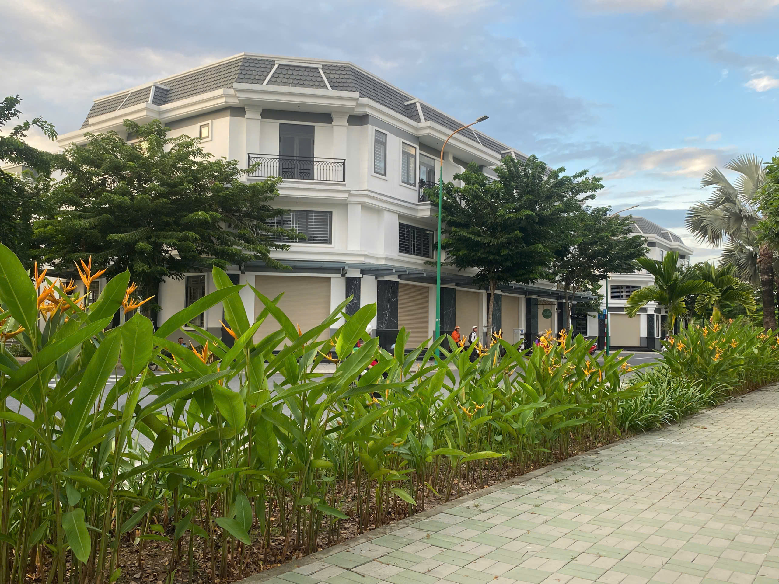 z6083303540835_685c008149af58a85753fa6dd4c746d3