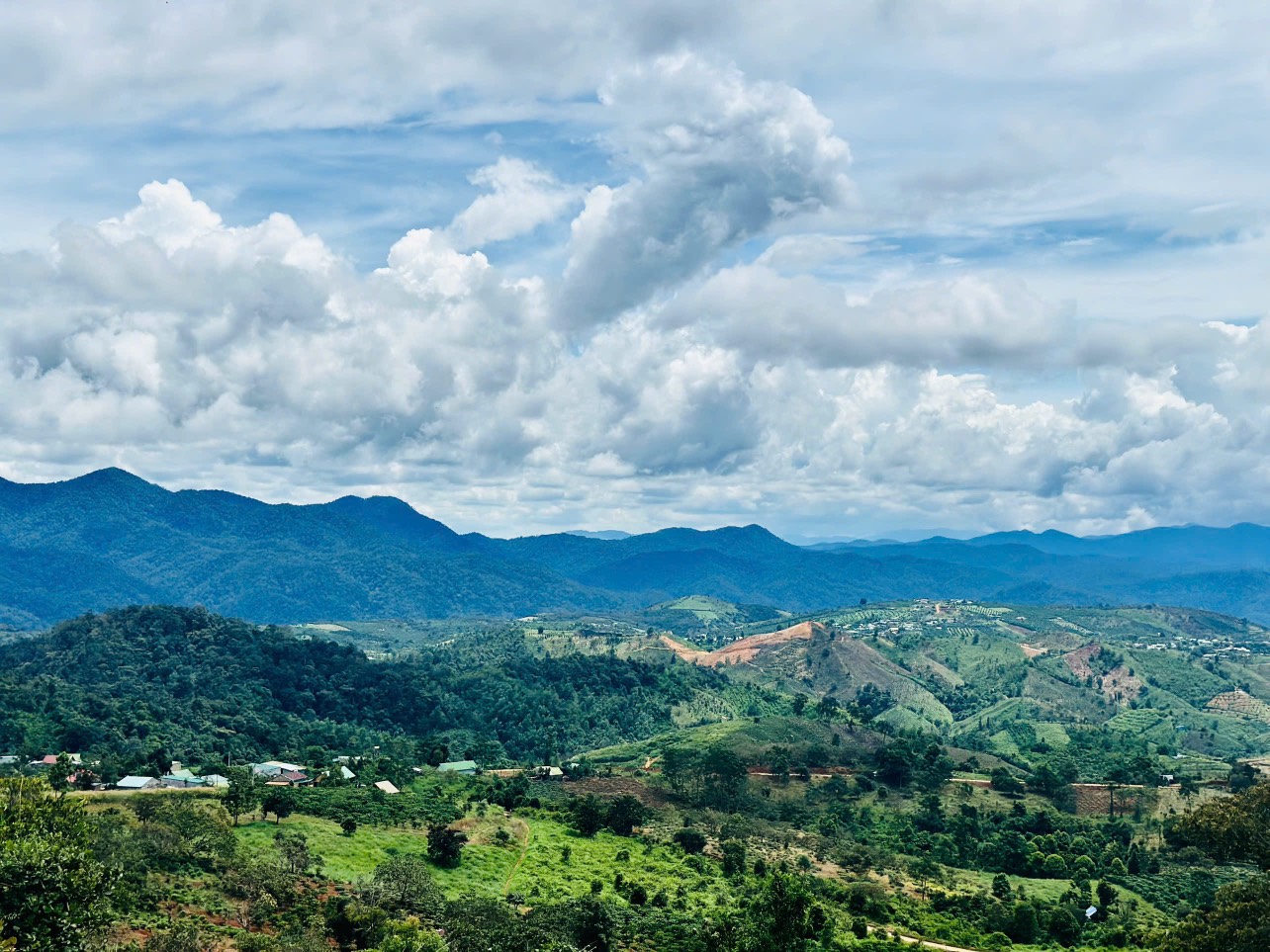 z6003962468175_05a2855c899680d8ac232c98b04ca92c