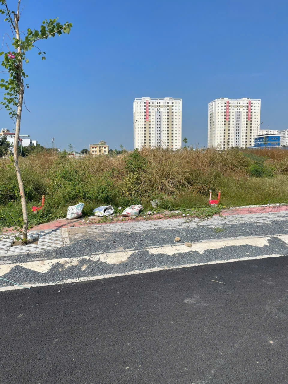 z6179766857011_f202a187077b2e55449f85cfbdd2b28d