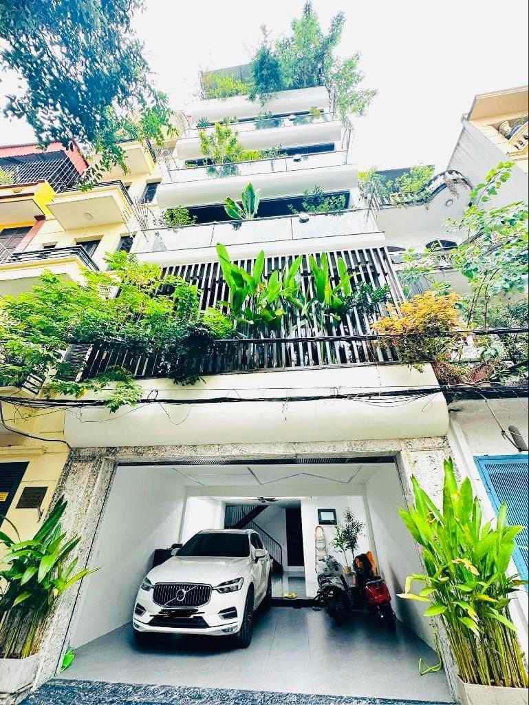 IMG_1732544830889_1732546984239