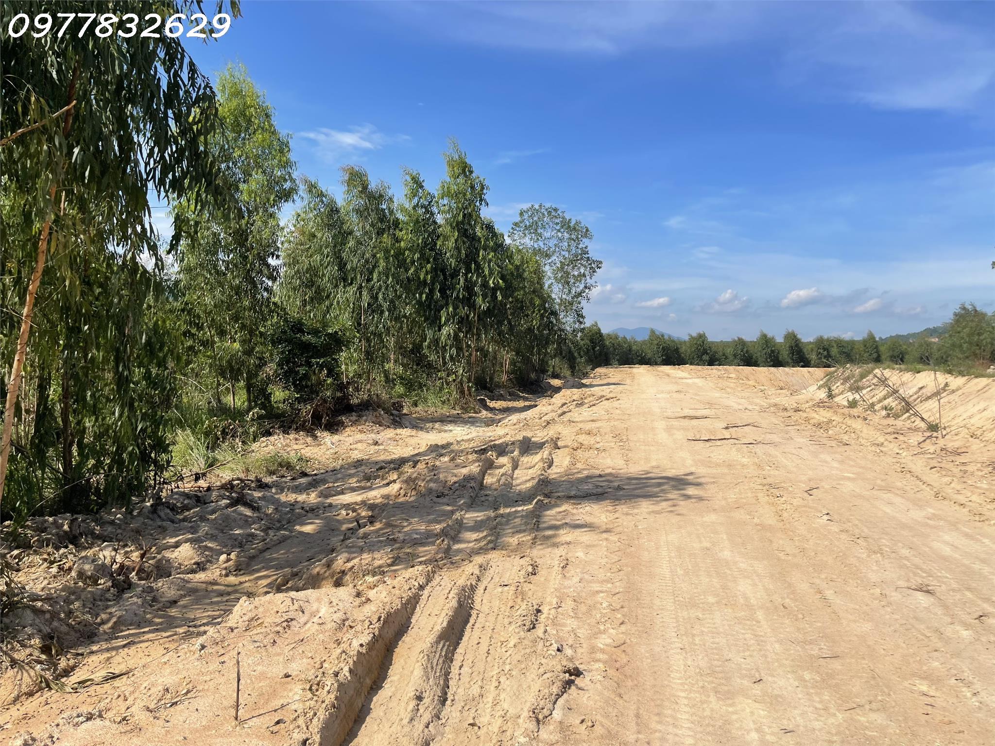 z4490237356331_749cbb4e1d8da8444d97b3867f7da3af