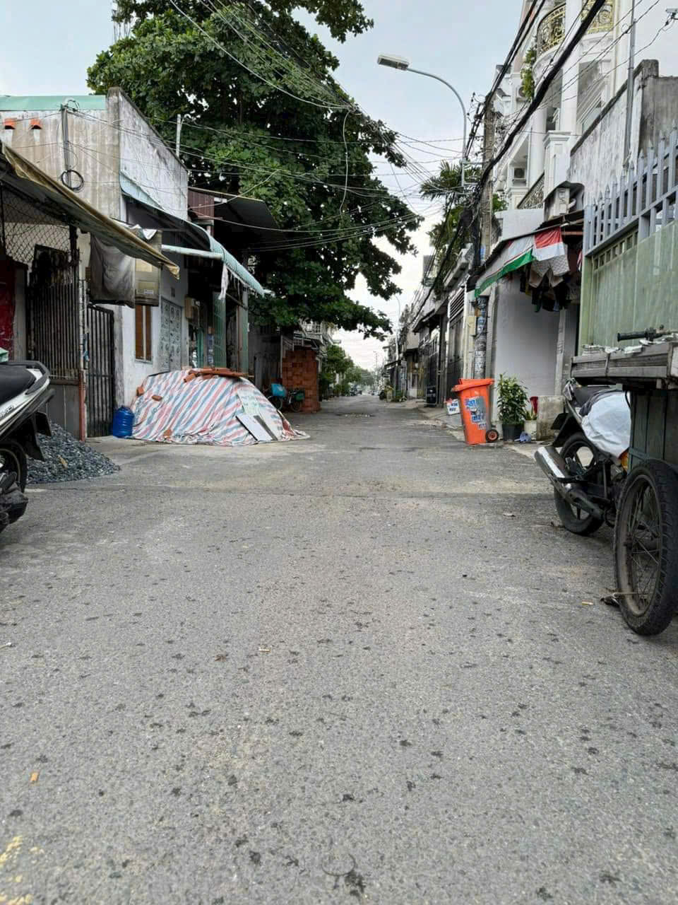 z5616116848979_1994b9425b916c810ddb7711a1ebdc5a