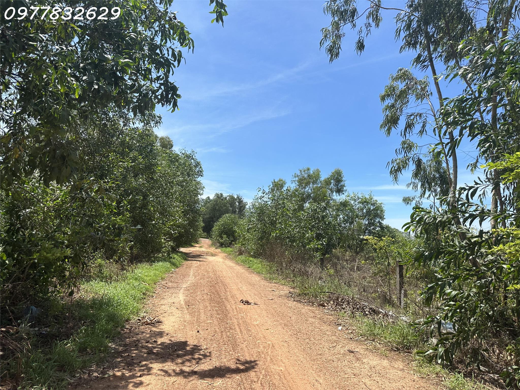 z5631828782335_eca645f63ddff1b4292a1bab738537f8