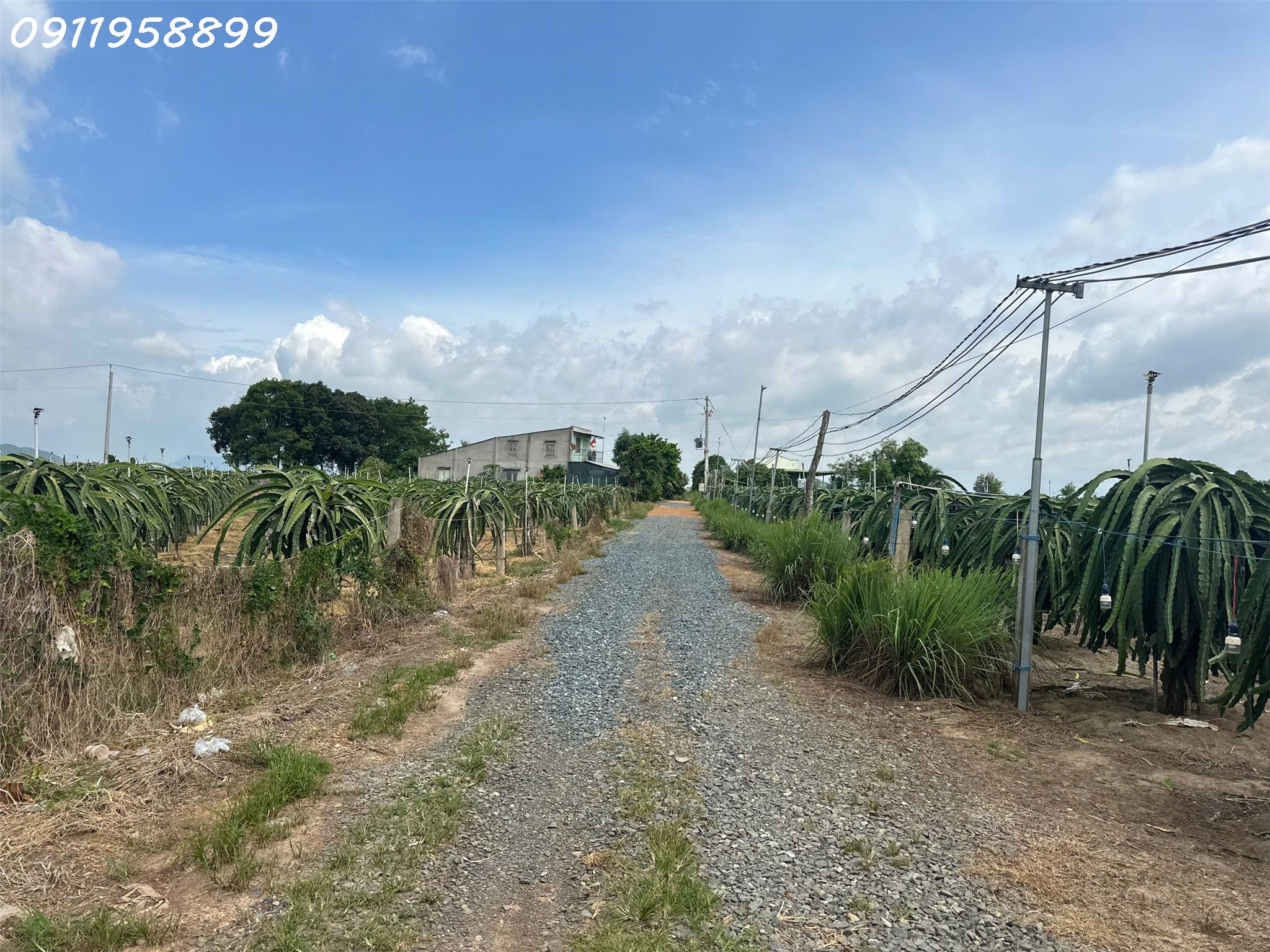 z5781925821569_e7a71cb1a05200529aa182e40c0846ca