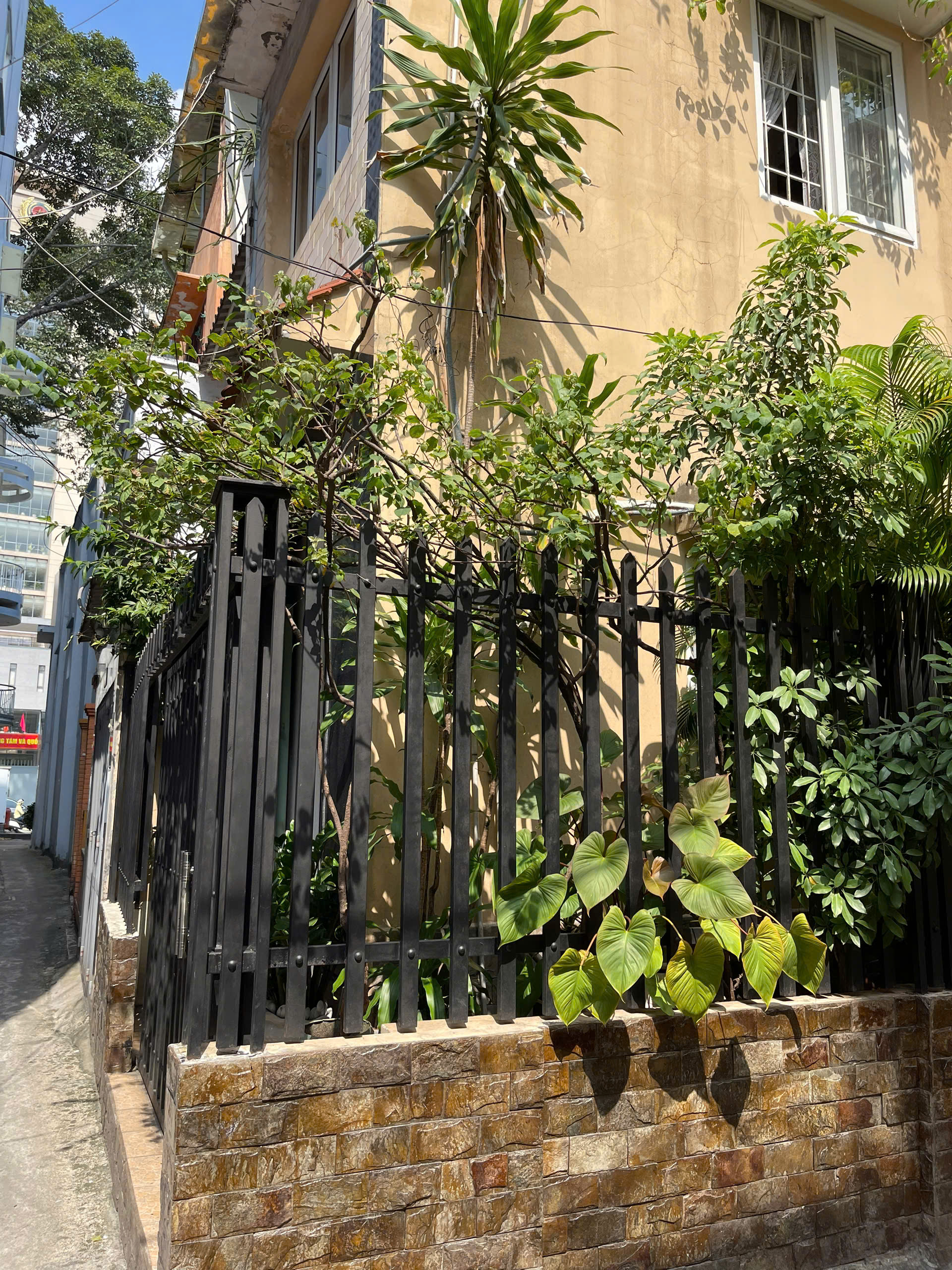 z6049052217503_a71288e8c7c2e1094a567a7b57adfbf4