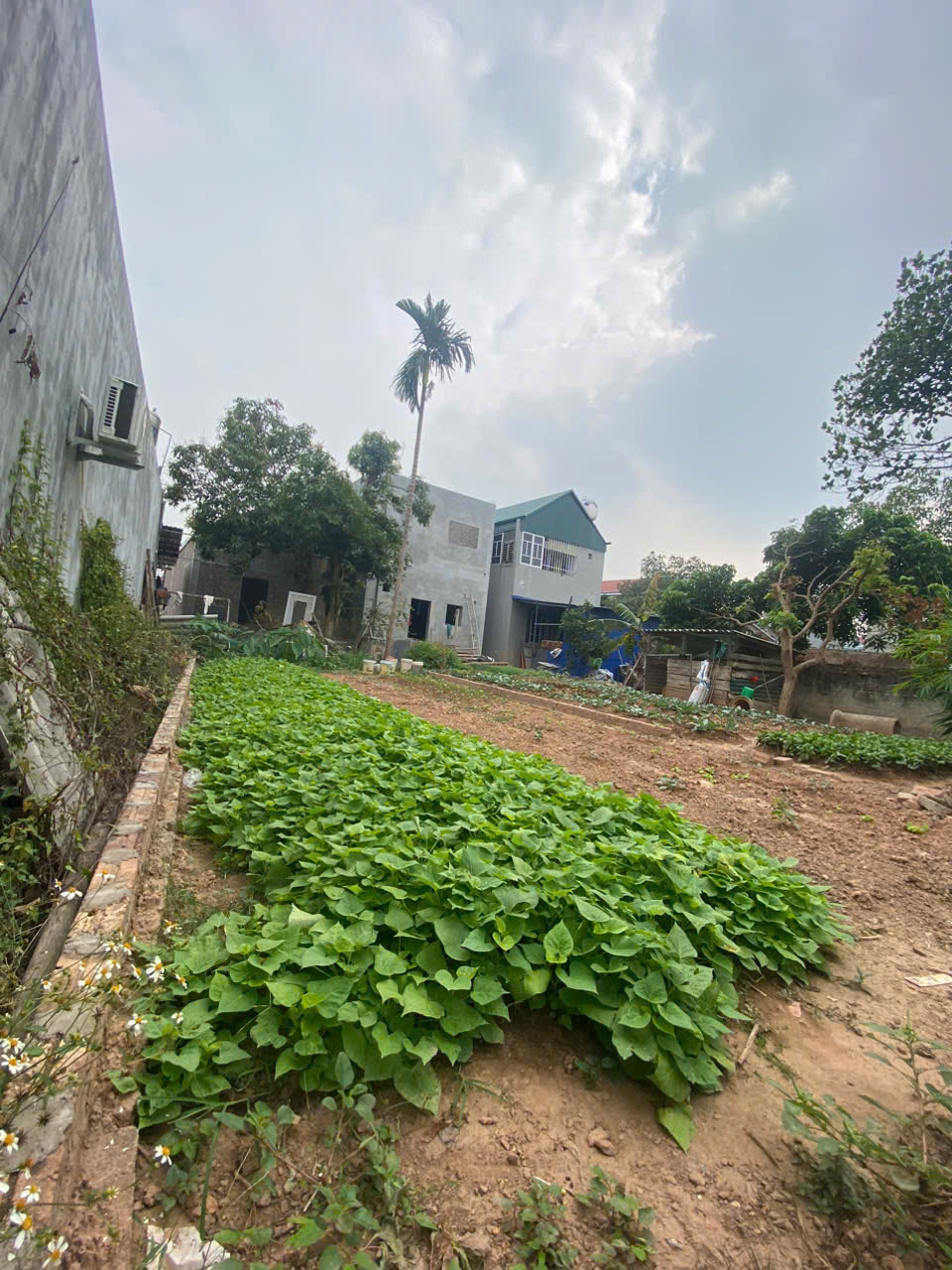 z6071639160638_f96b8b458f87ac90f410ee5847ee3a0c