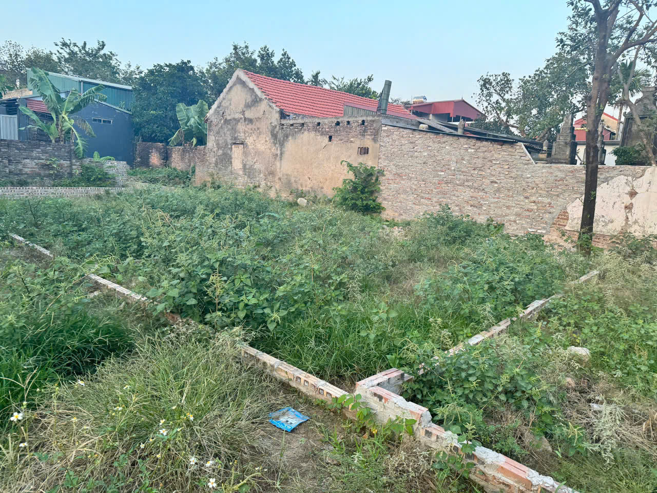 z6142416817690_41abb786a635045764ba8ebd63547afc