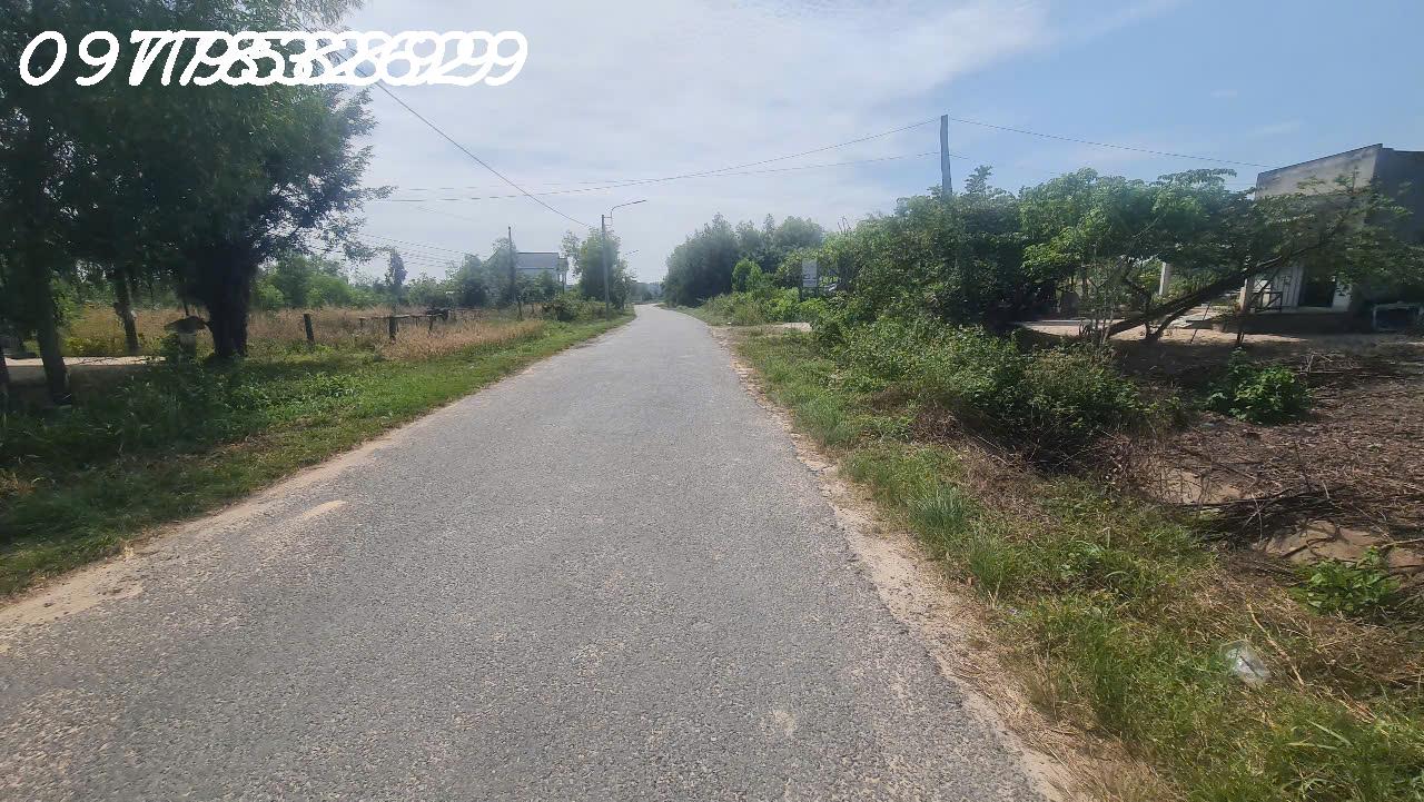 z6169236136370_2ec0b4ee60df507380ec7de56dc2d370