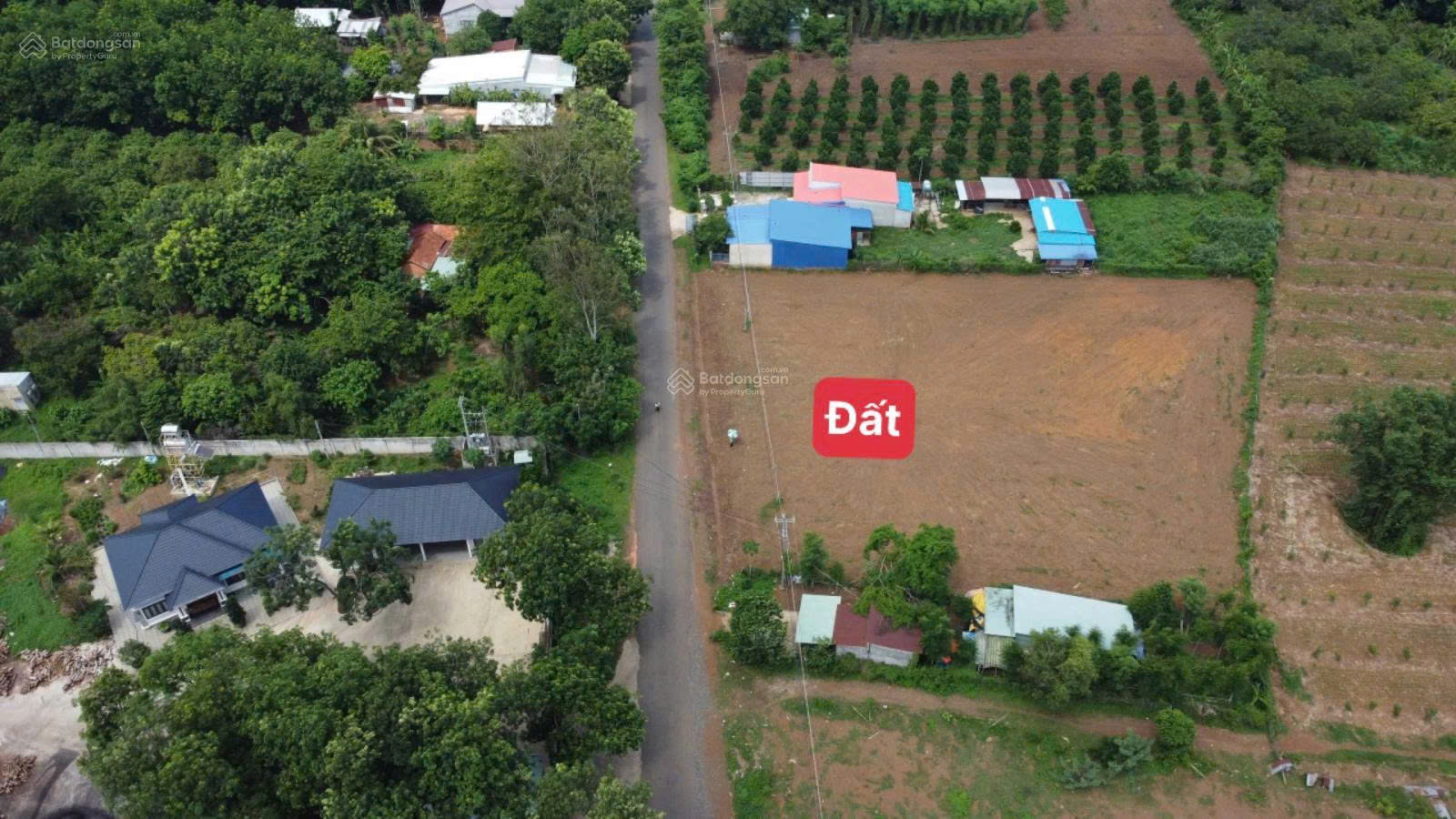 z6171753340163_becdb33cedc7bf3343ae146cf1abaca5