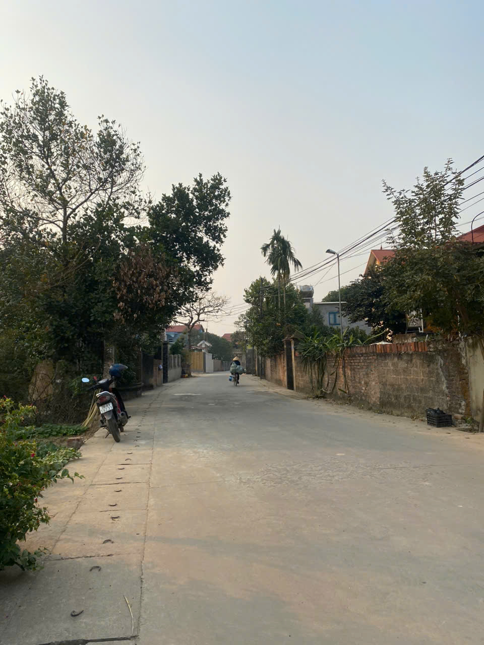 z6179910000648_67bd50c7d1f4223ae7a7489c14e9fd9a