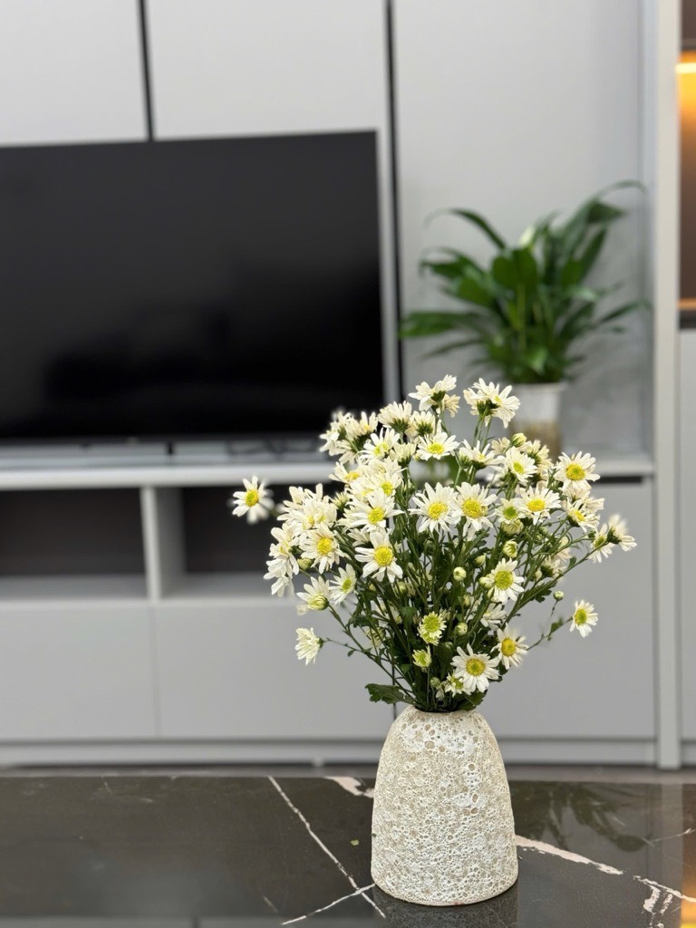 z6181786261325_1537b7d7d0bc694456ec5b3a79210c54