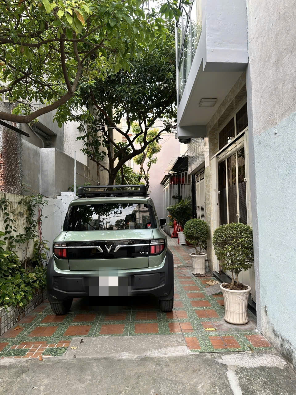 z6185918666042_98a626bc823deb49c39097c236dcb431