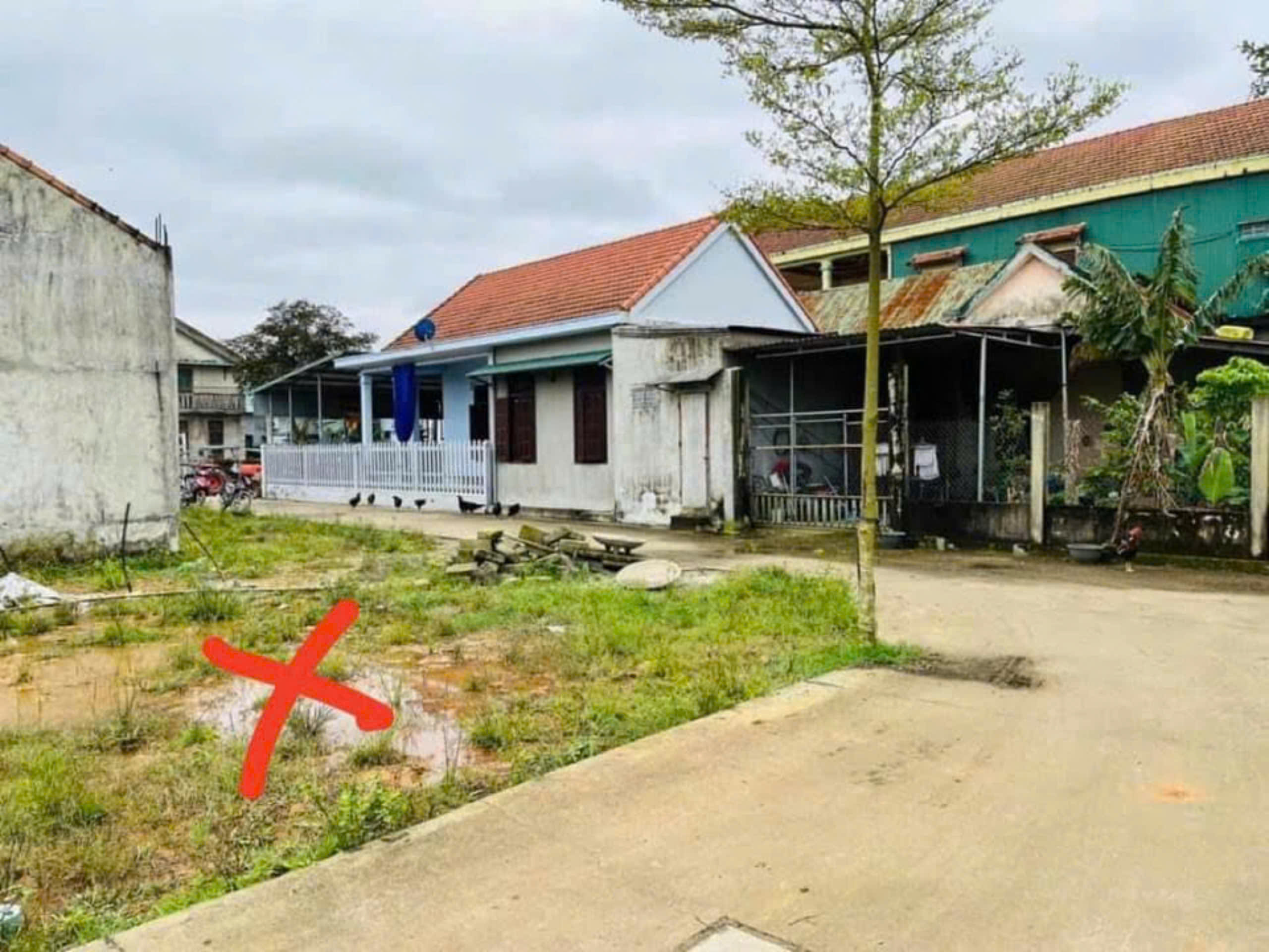 z6194147750365_eec46860eda3413ab709608e31aa5861