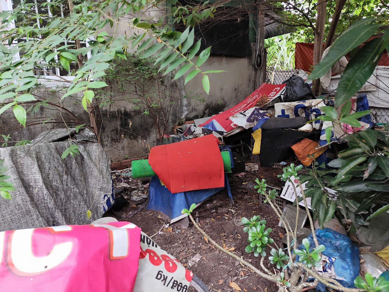 z6197325294763_0bd909c4a368f386e661bb63df3d55a3