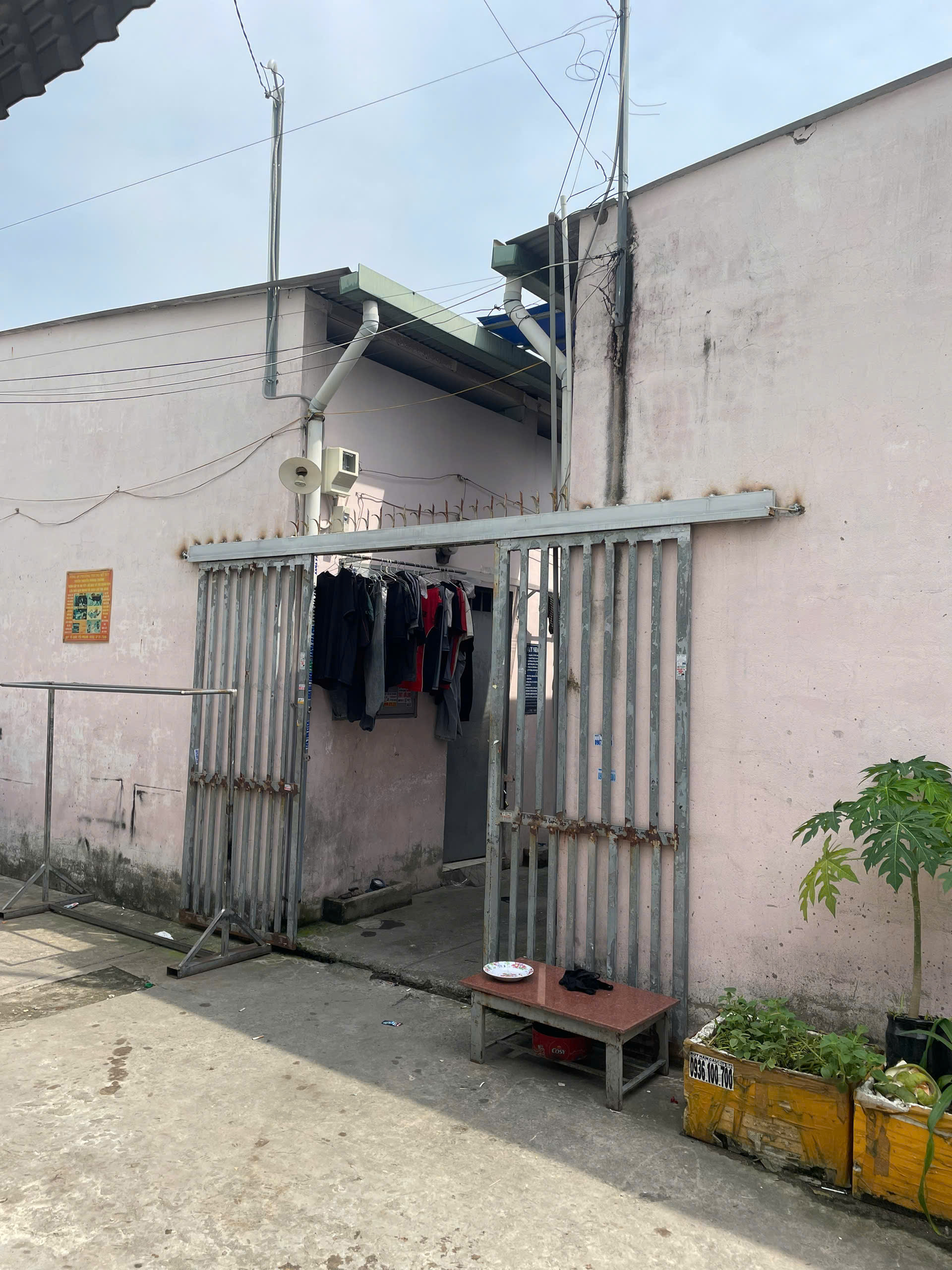 z6197485310863_11a64039608f68baf5138d0abf3e9c9a