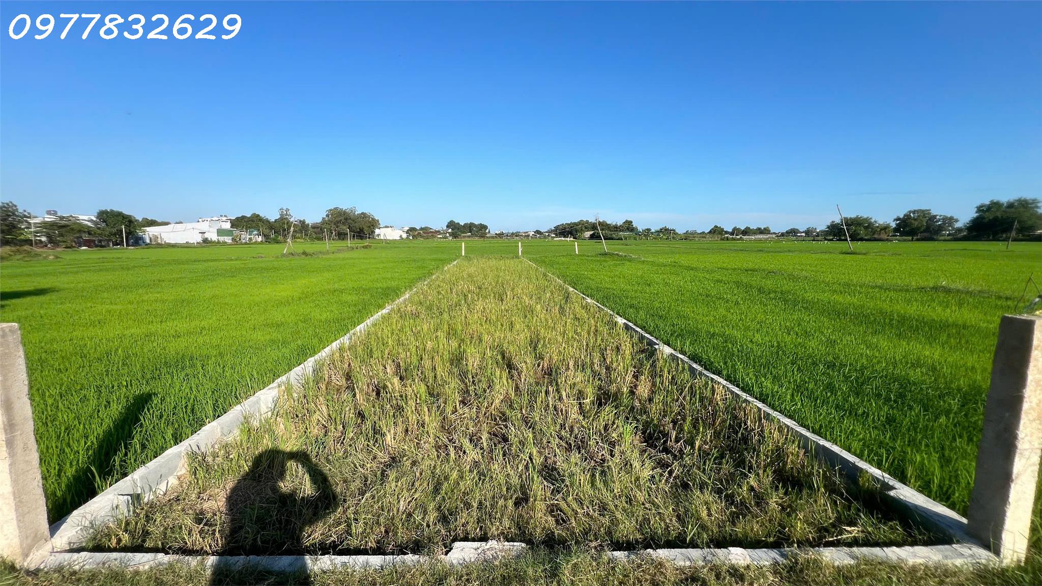 z6203971253144_fa4b56ed44f024312e1213a793fc0076