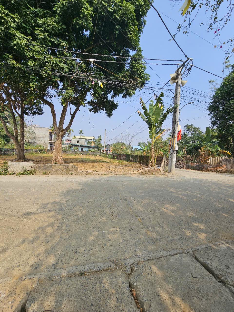 z6205841261930_b7725cb4809251b162cf80ef63fc6e10