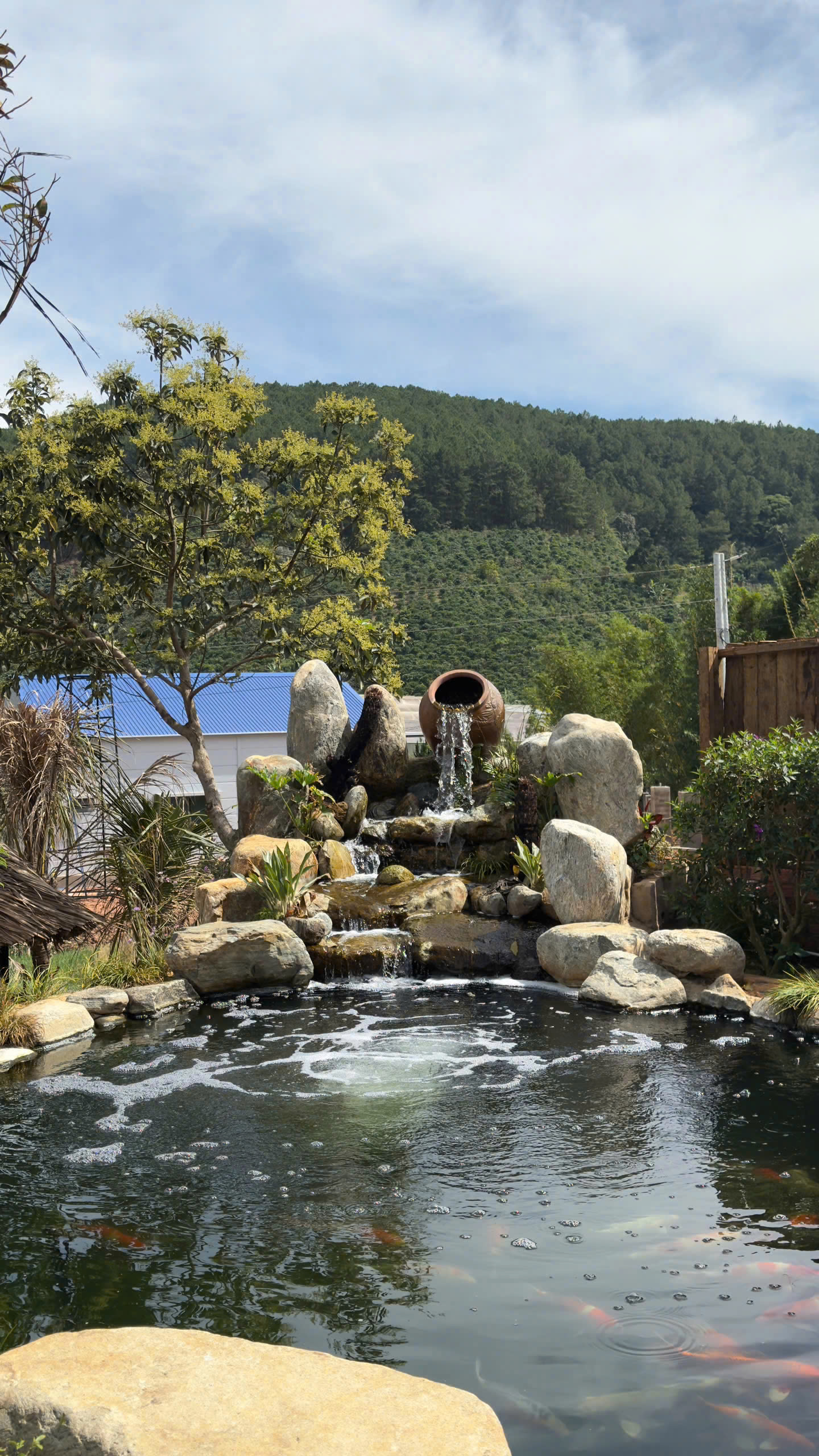 z6215113207140_1d7e55a76f674eae777a8fc0ec441e49