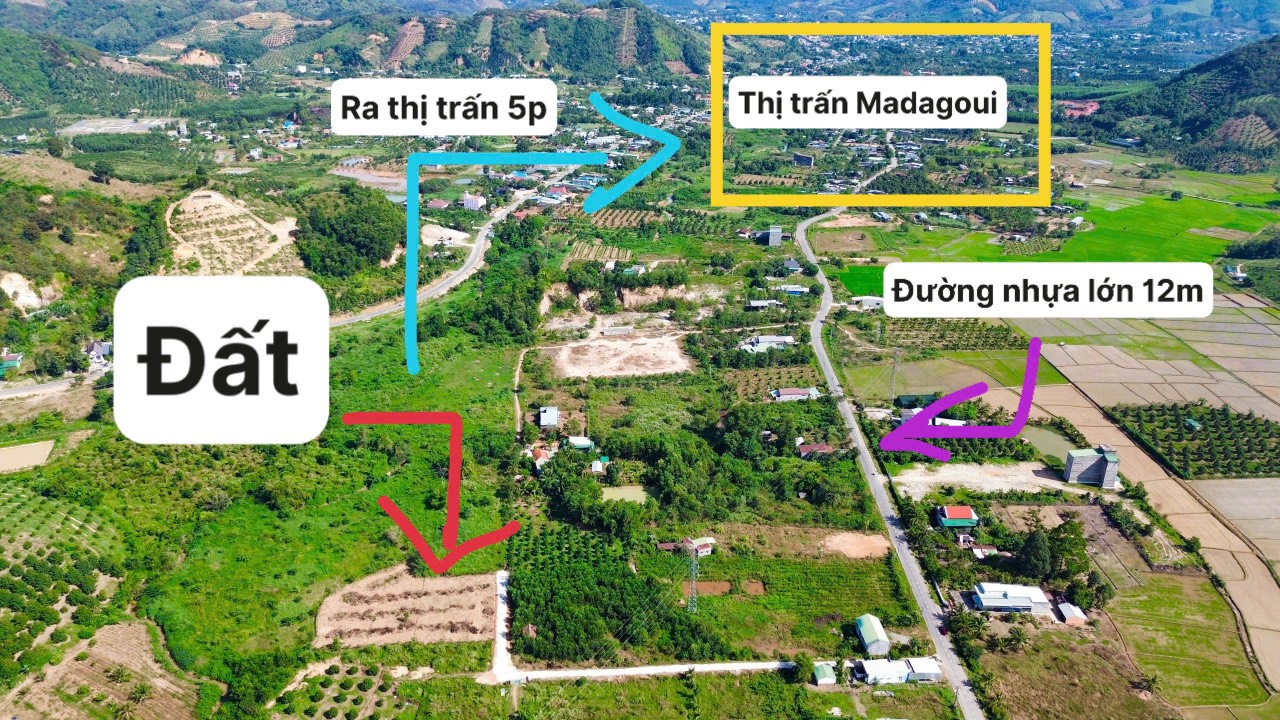 z6226576965532_4f9a3bd86c44802a20c1e41928019ea0