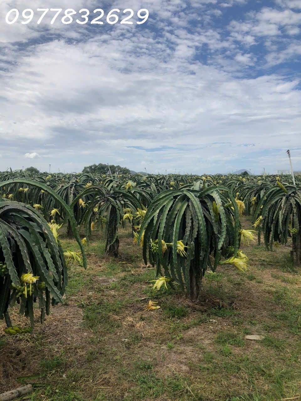 z6226809793795_4aea90a624ae77a9b2696746a0a1a0a0