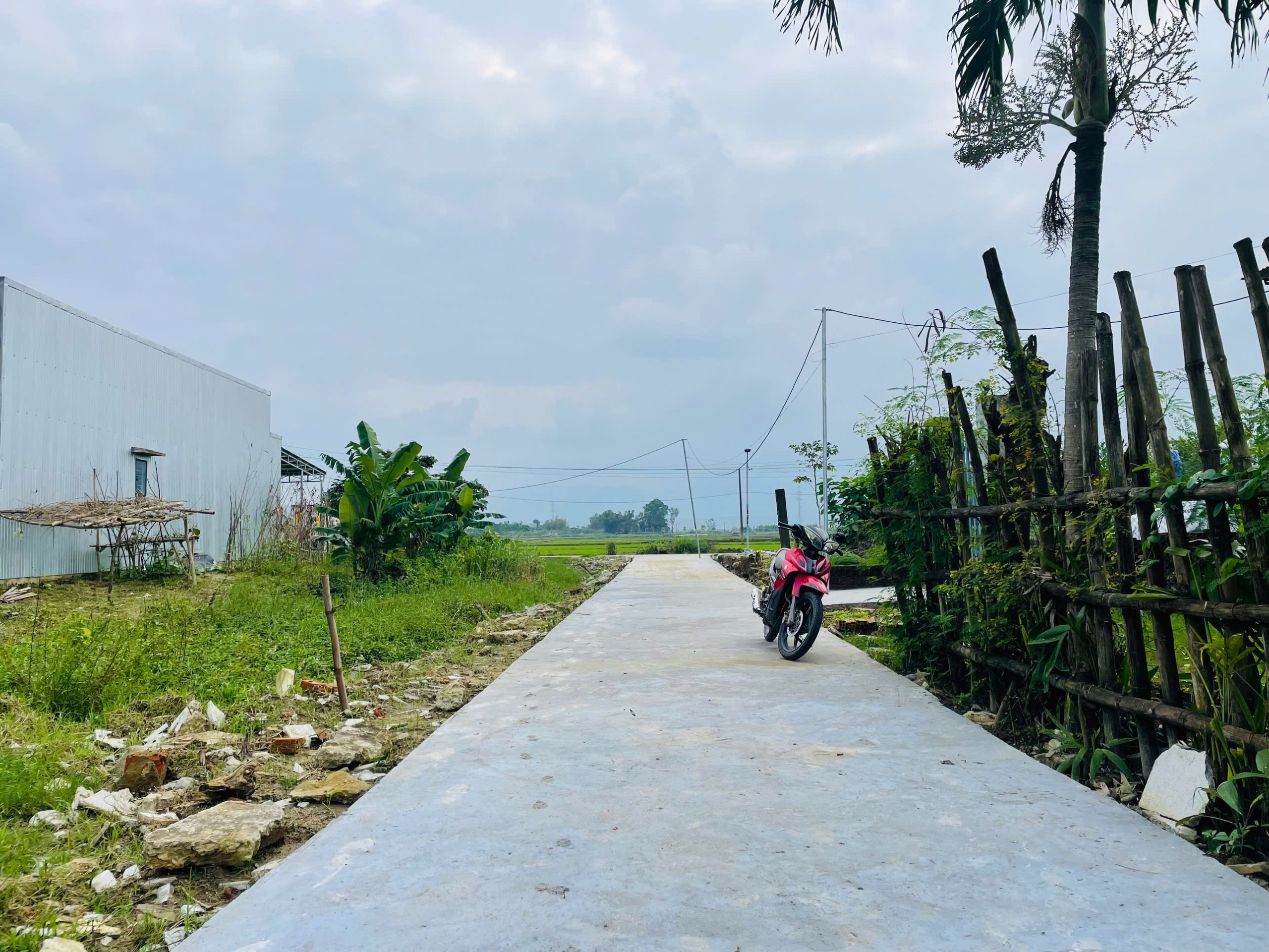 z6229591495551_371f6a26b6c71017468d66a7547083f4