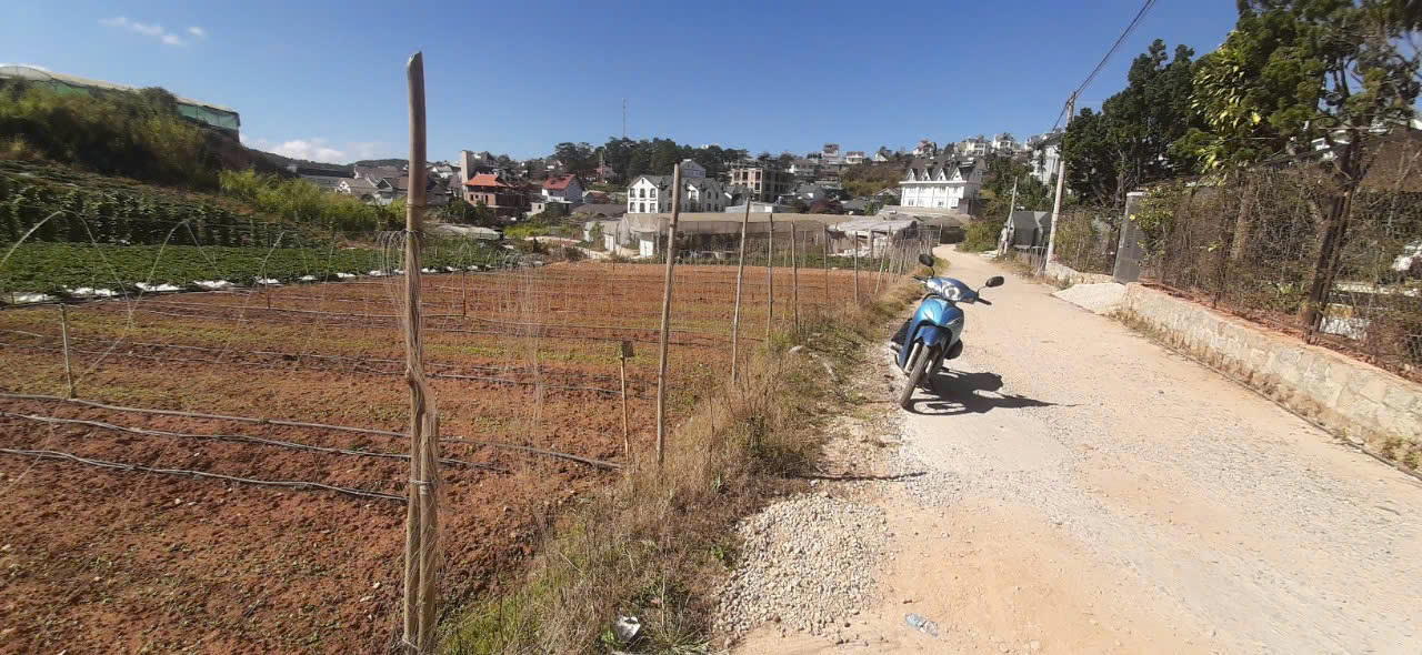 z6230520204445_2f4dc1c29ac7ec92203ff88c7af347a2