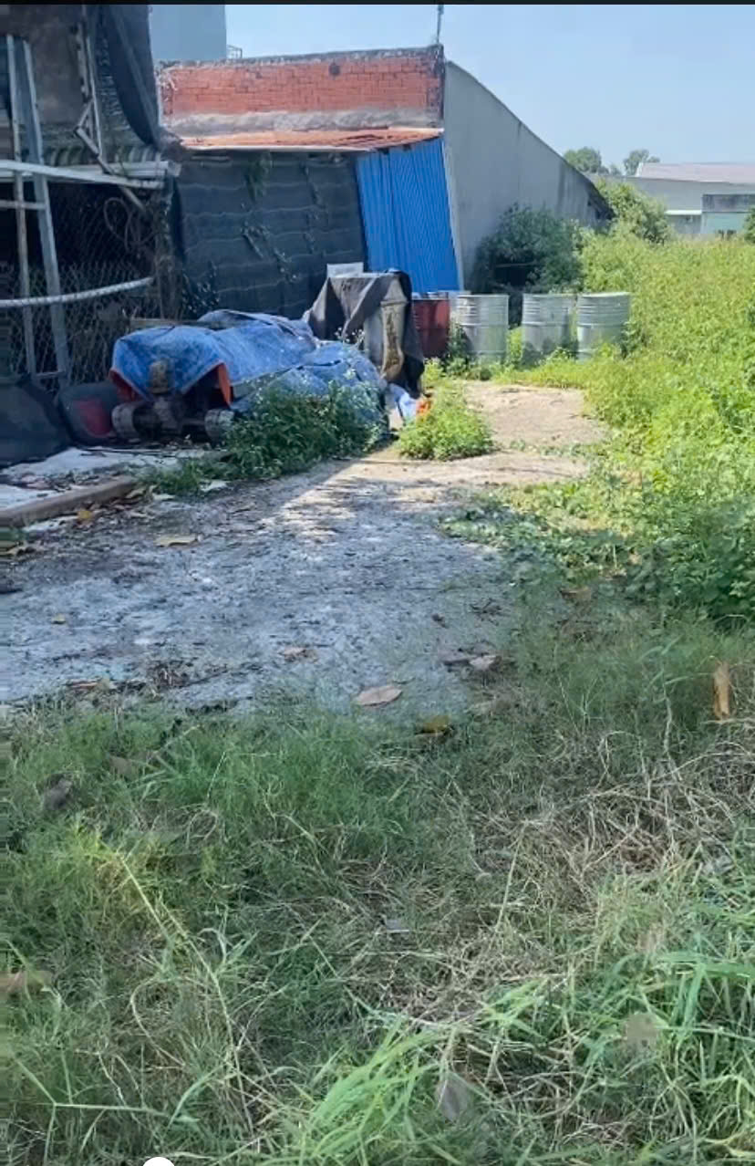 z6230687301090_53b094e3d127dc645644438cc721f026