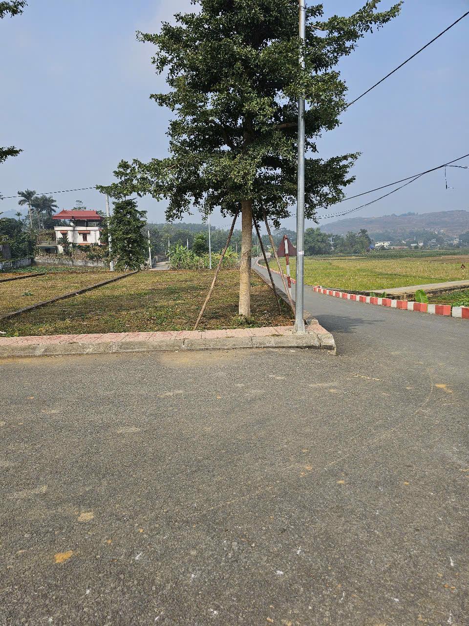 z6232759481481_d107275559bdd54c86407262f22032d2