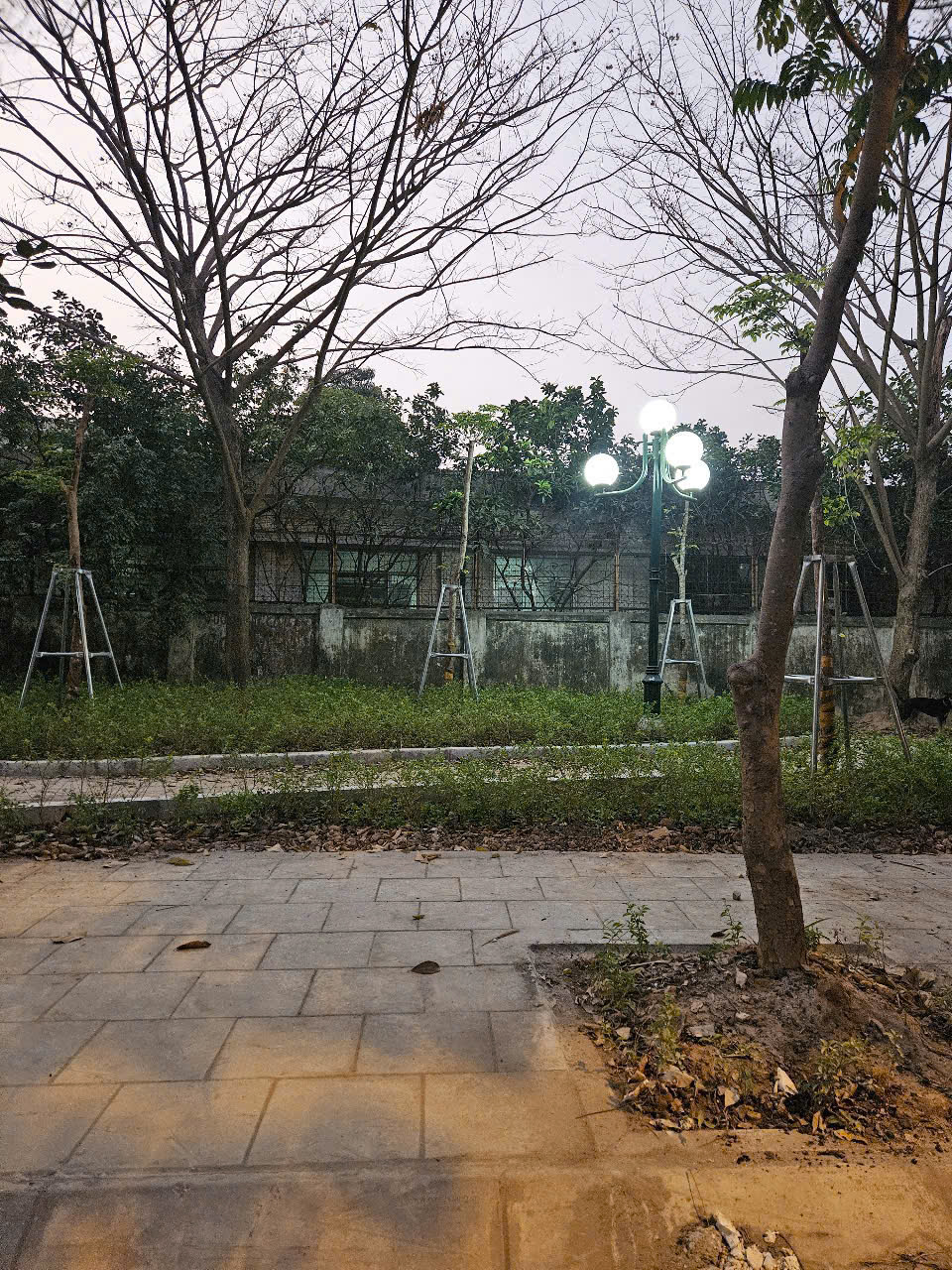 z6233270228913_cb9bdd358cf653986683e5605fe27130