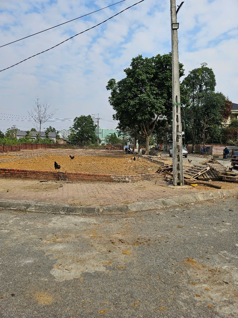 z6251251531470_b199472f642d5a27eddad90d1350d059