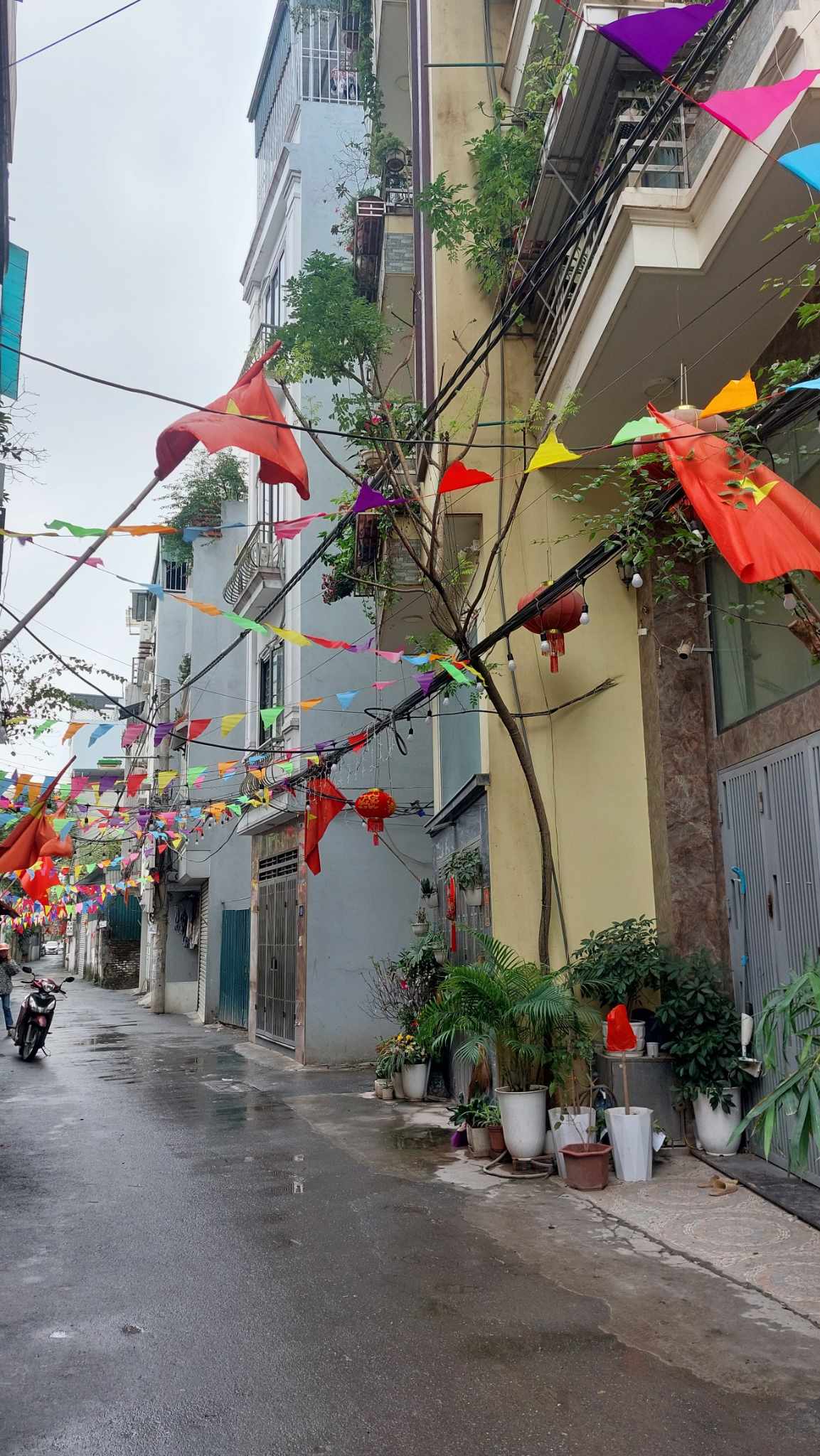 481623629_1365668181093715_7497385531242708357_n (1)