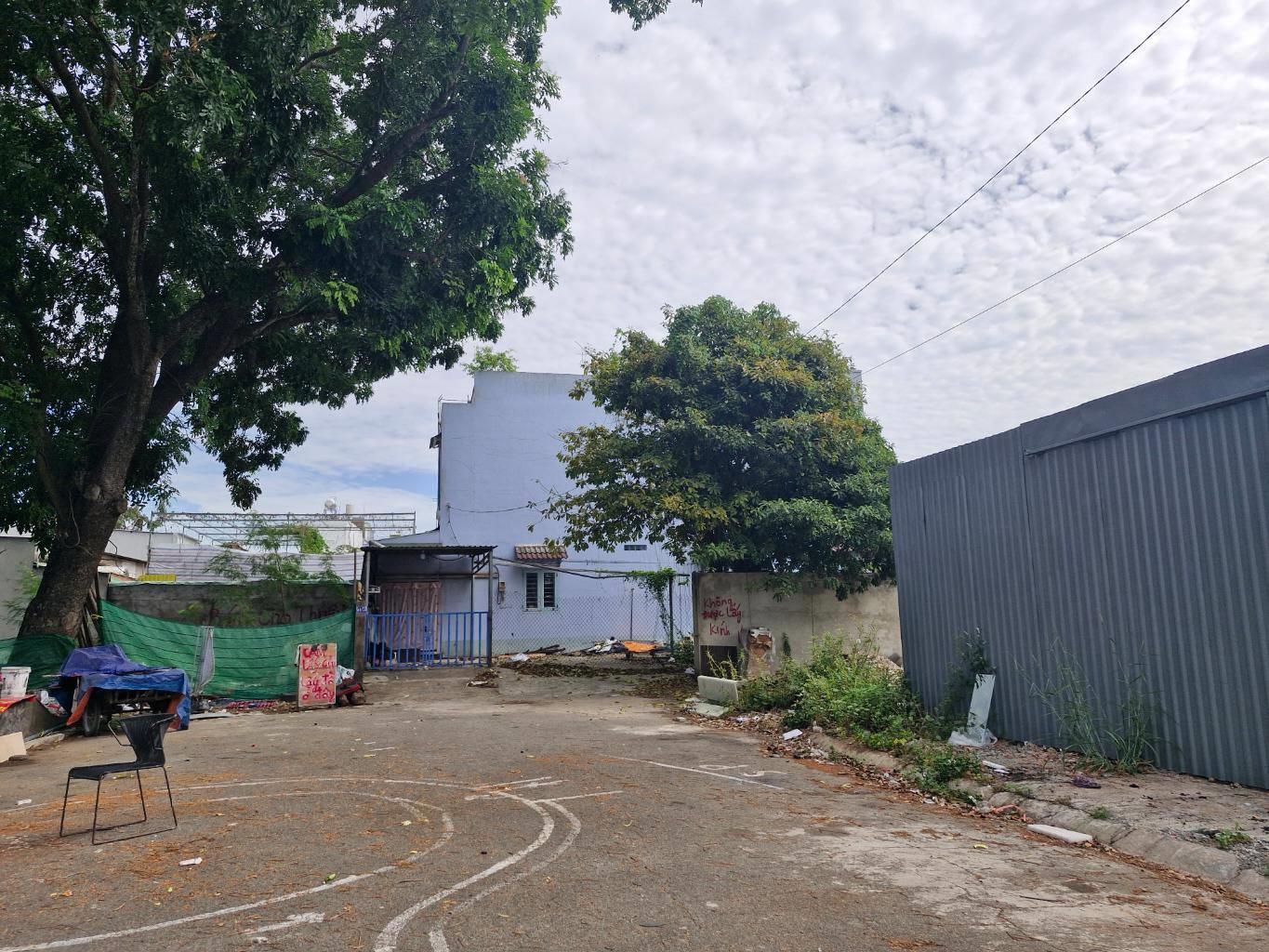 481816220_633546949376539_2621444967368348595_n