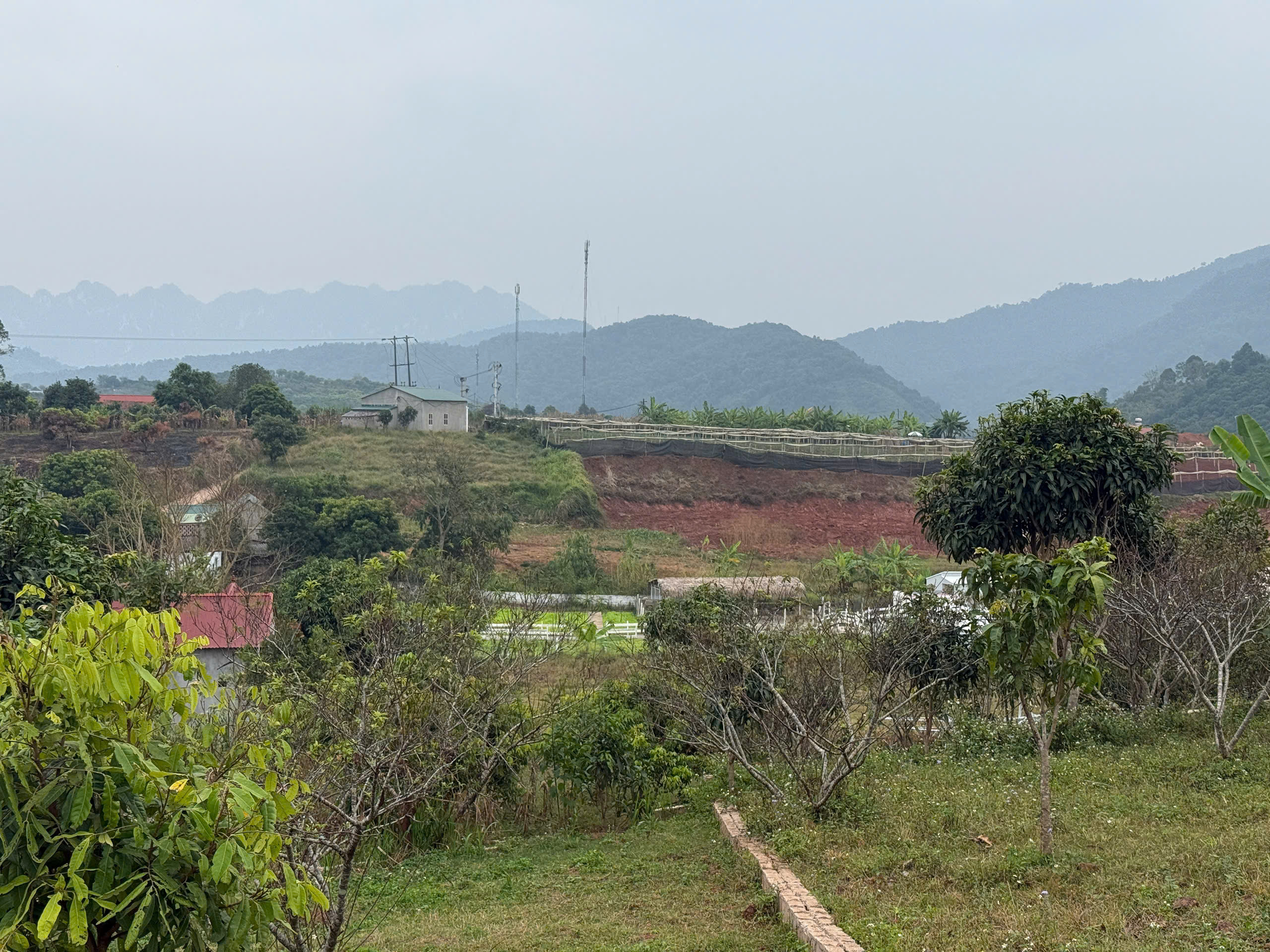 dceb8b348b9c33c26a8d